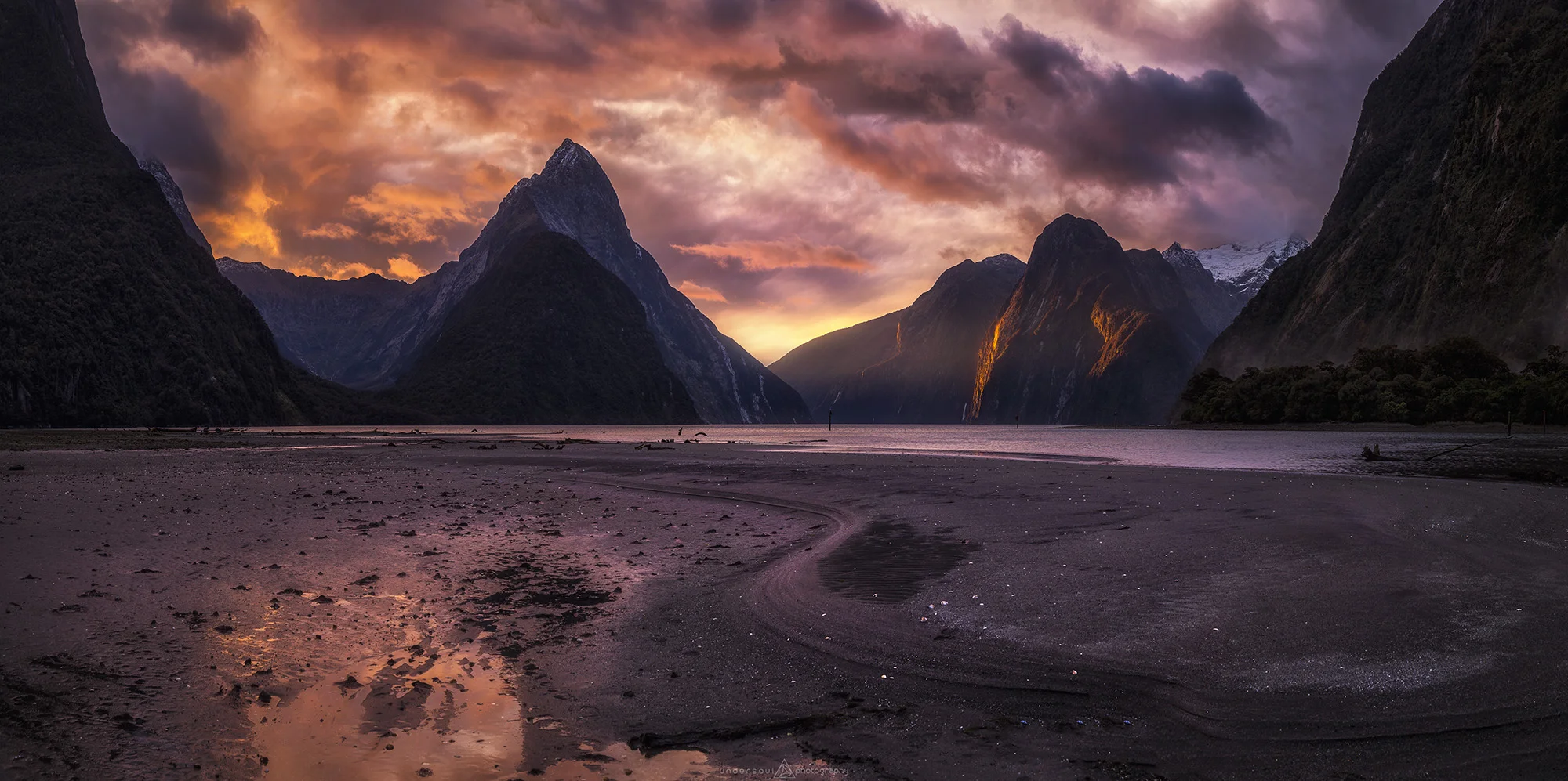 Afraid Of What To Do Web.jpg