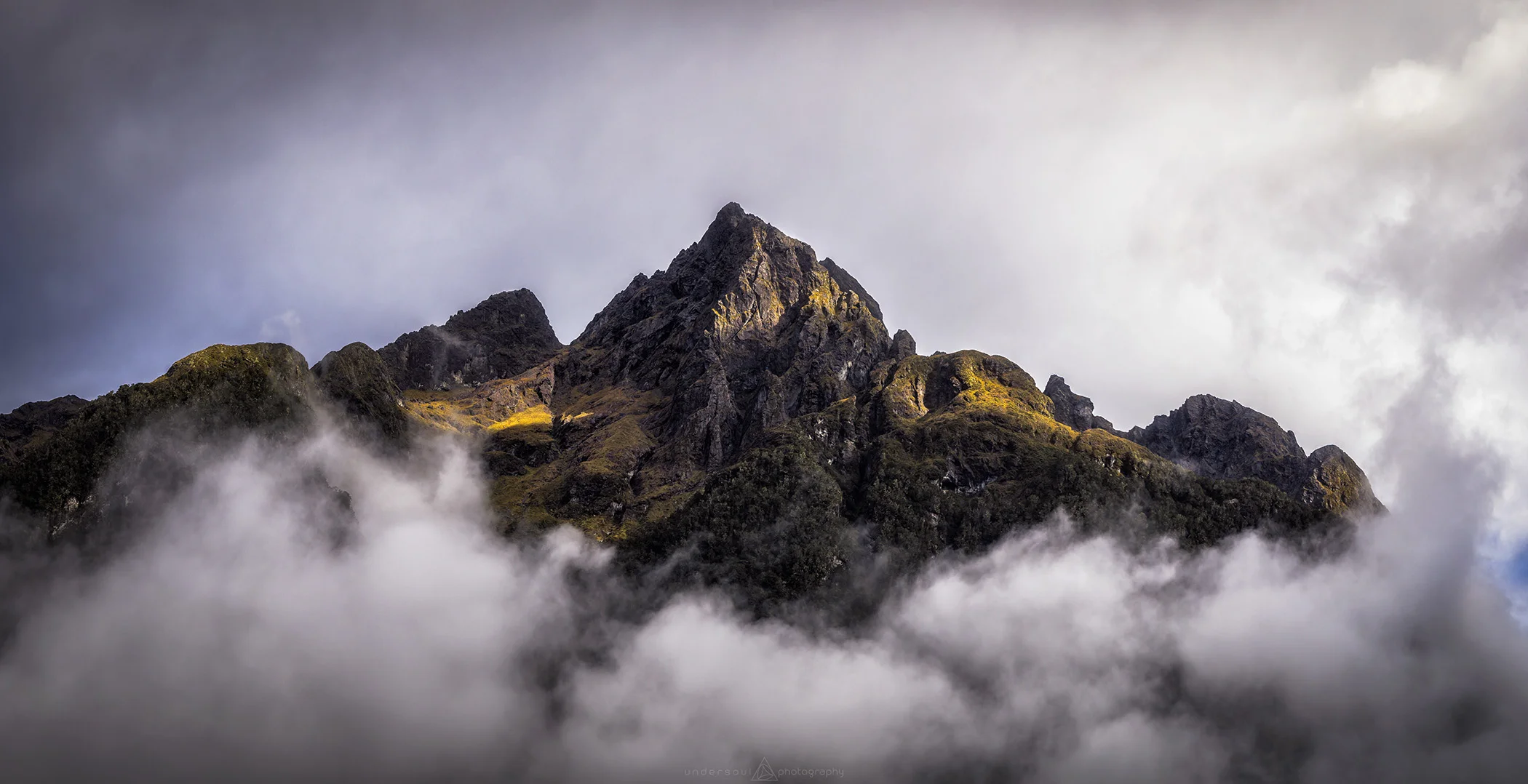 Nothing Can Stay Hidden Web.jpg