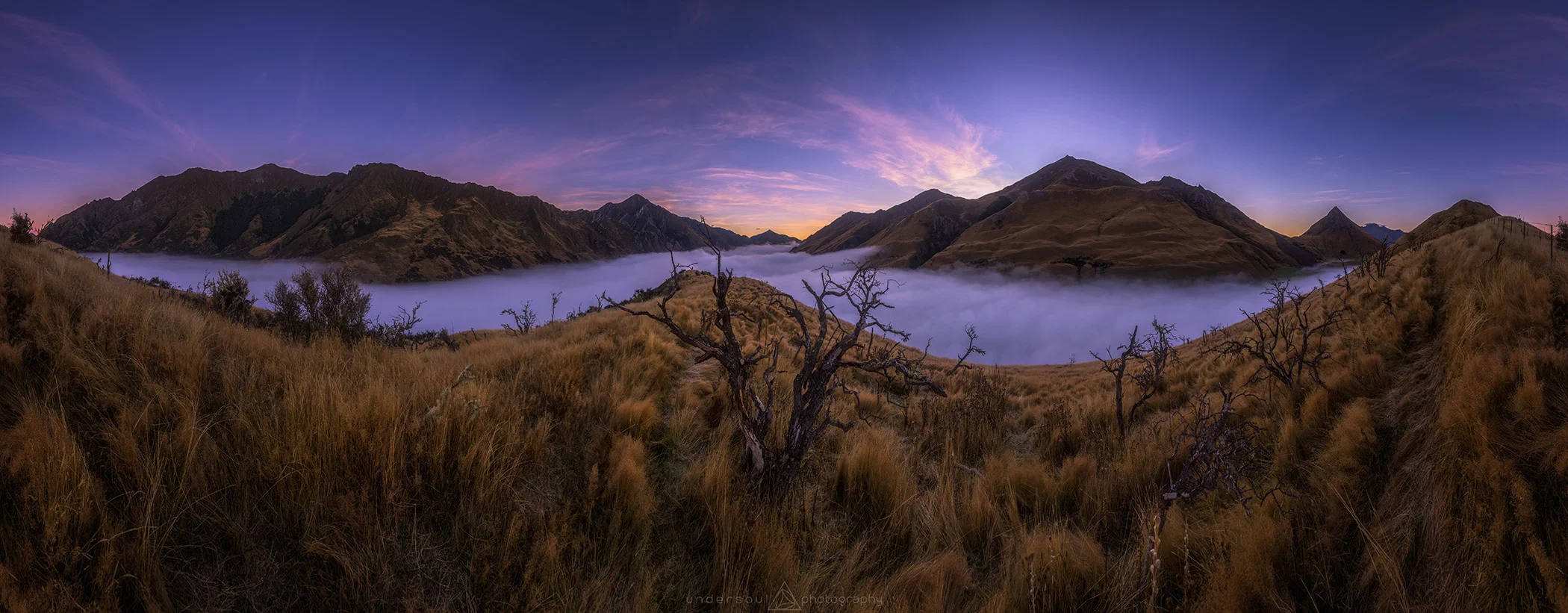 Closing The Gap Web.jpg