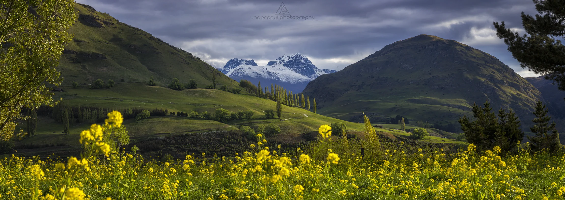 The Art Of Spring Web.jpg