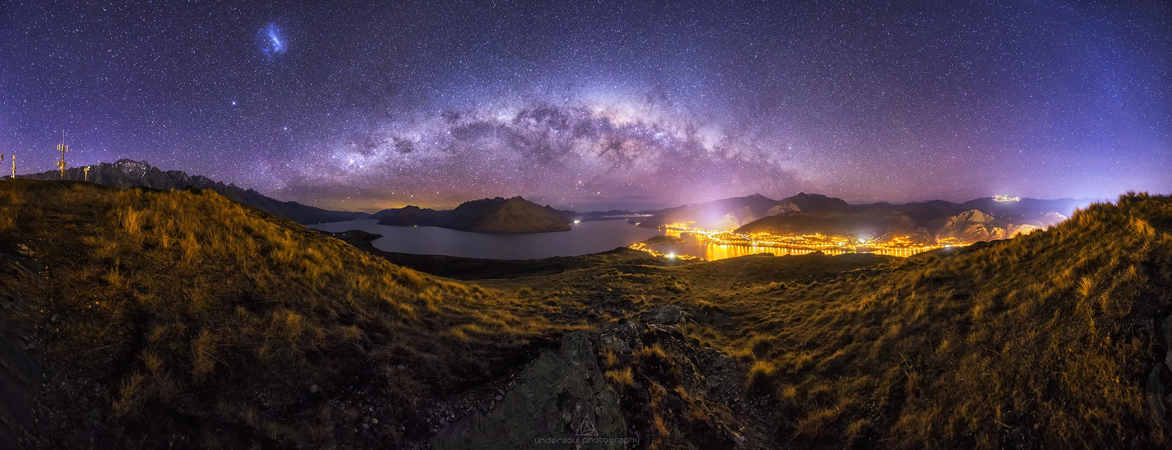 Can You Milk A Deer Web.jpg