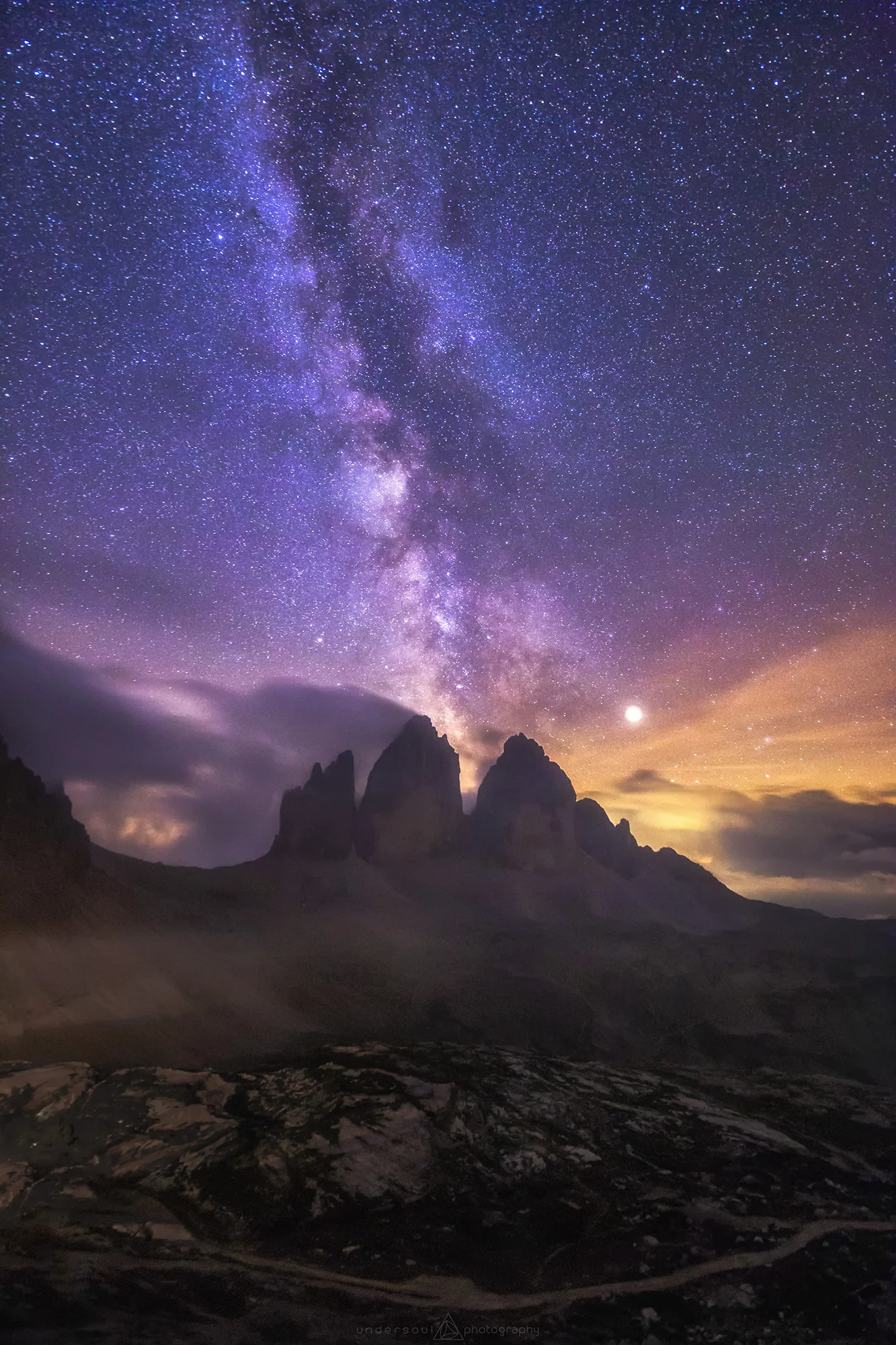 Upside Down Kiwi Web.jpg