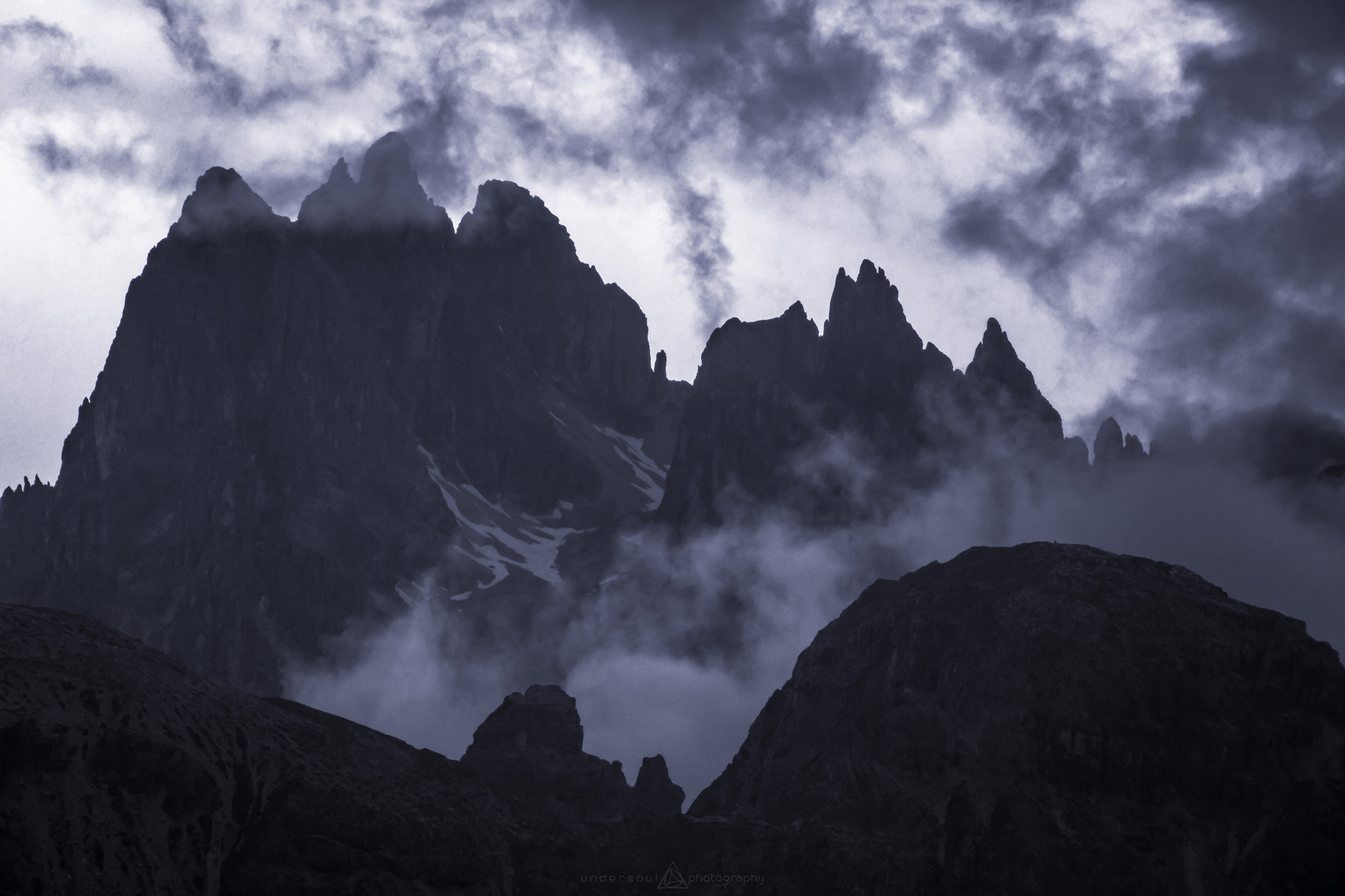 Tortured Insanity Web.jpg