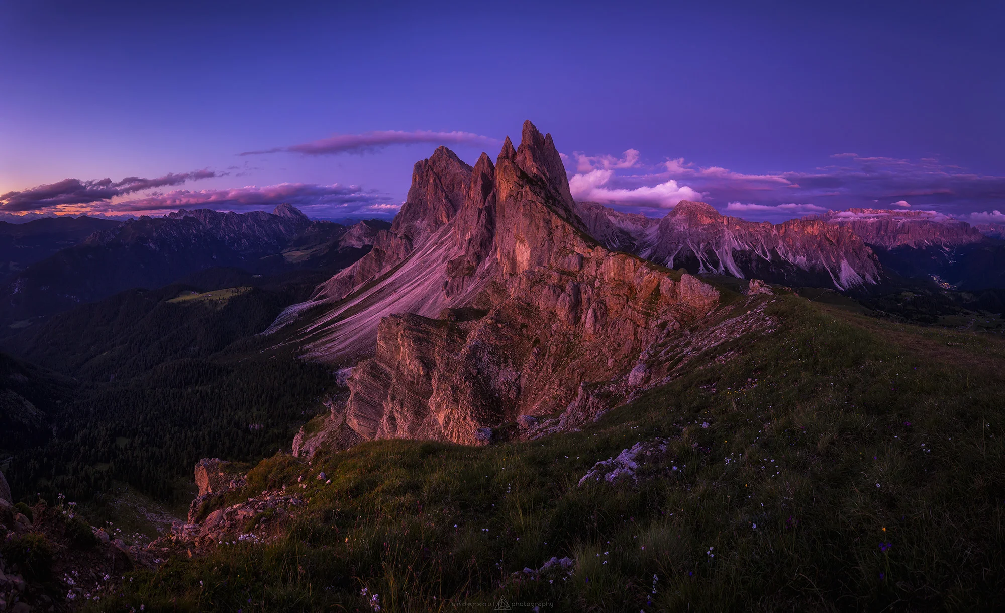 True Freedom Web.jpg