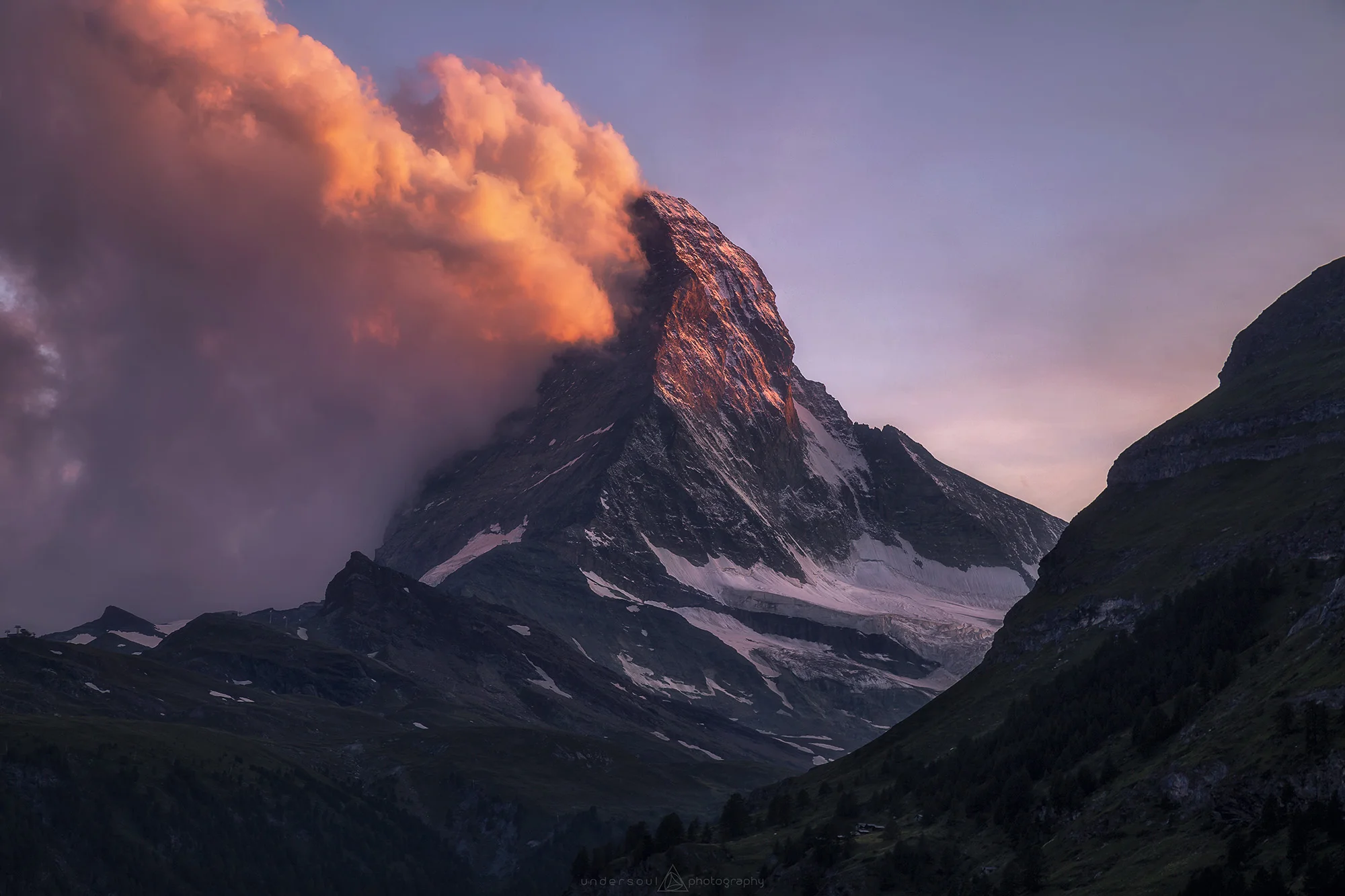 Straight Up Horny Web.jpg