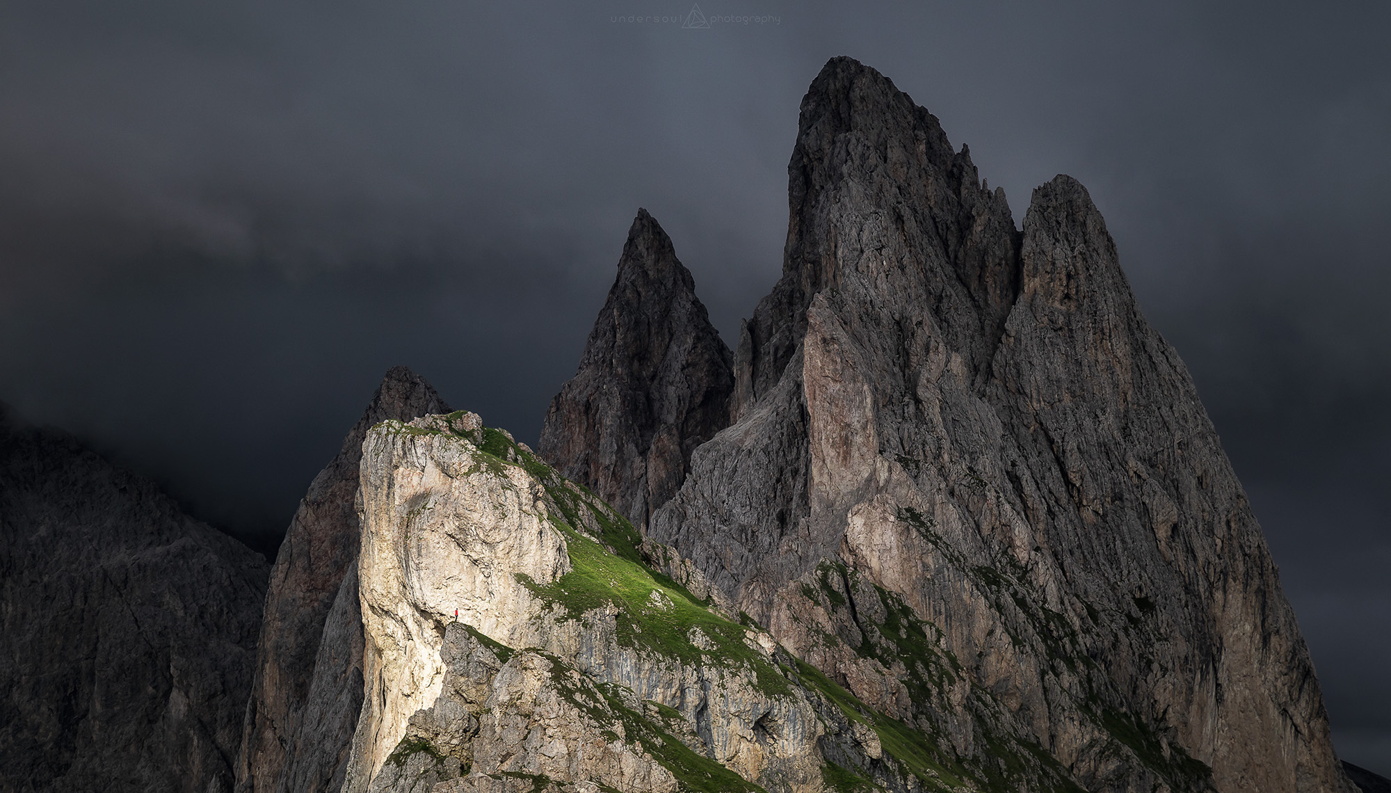 A Human In The Light Web.jpg