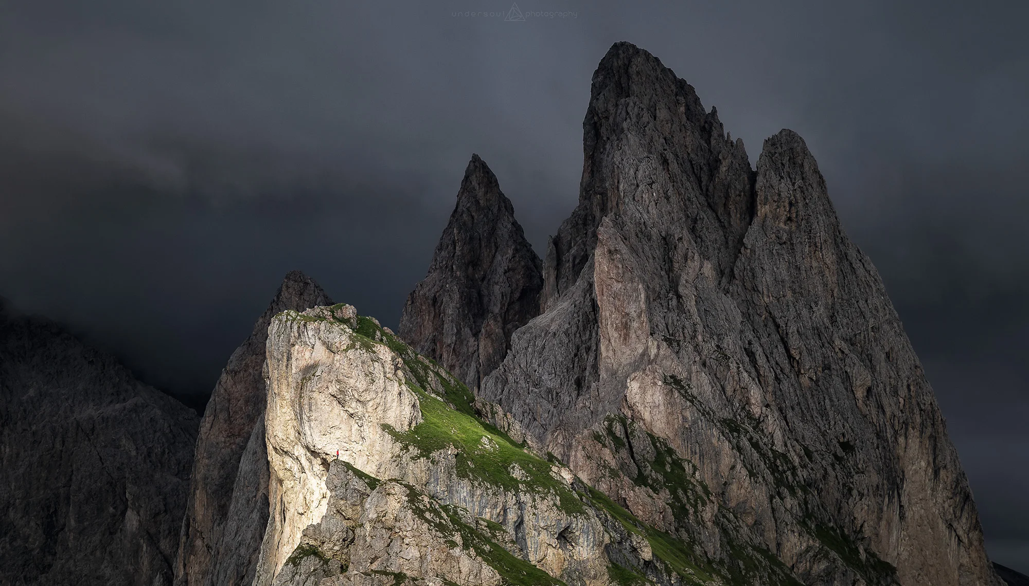 A Human In The Light Web.jpg