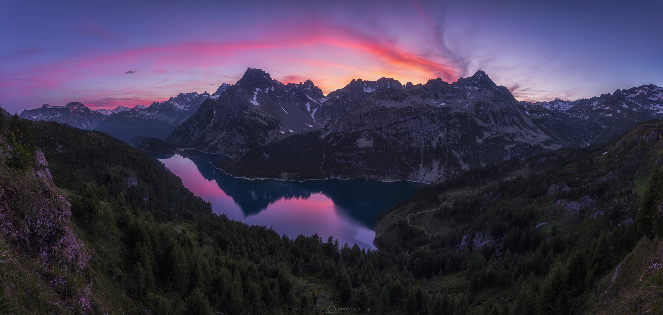 Late Night Pinks Web.jpg