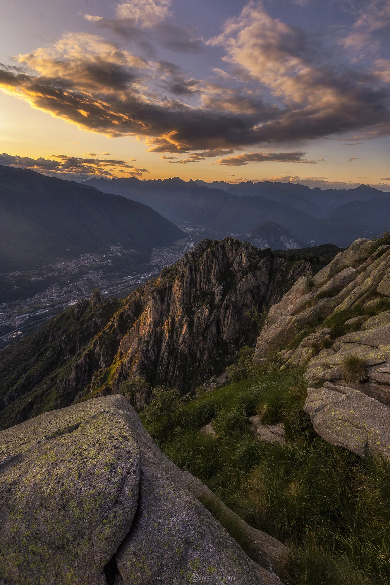 Quite The Colours Web.jpg