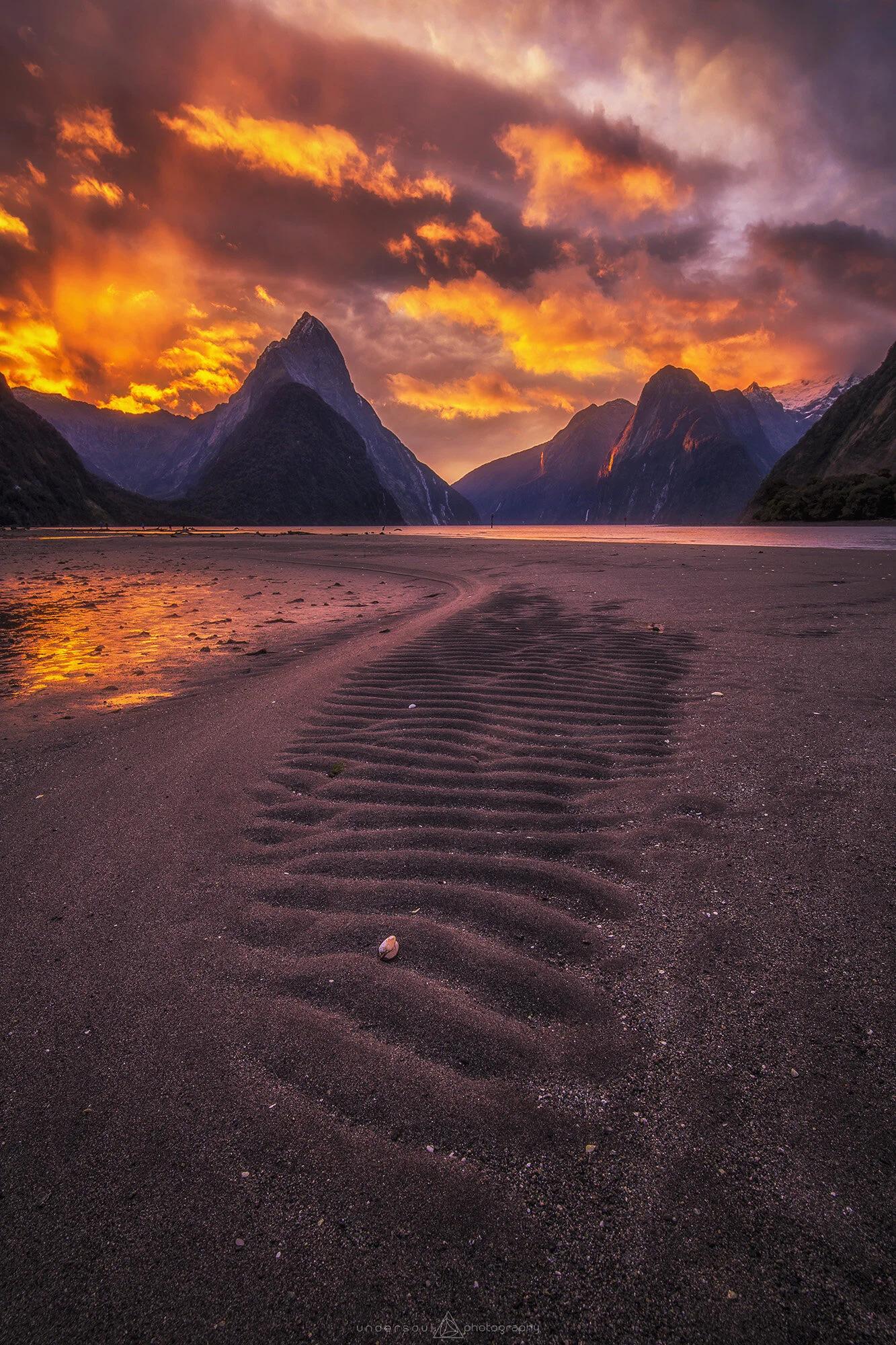 Great White Brotherhood Web.jpg