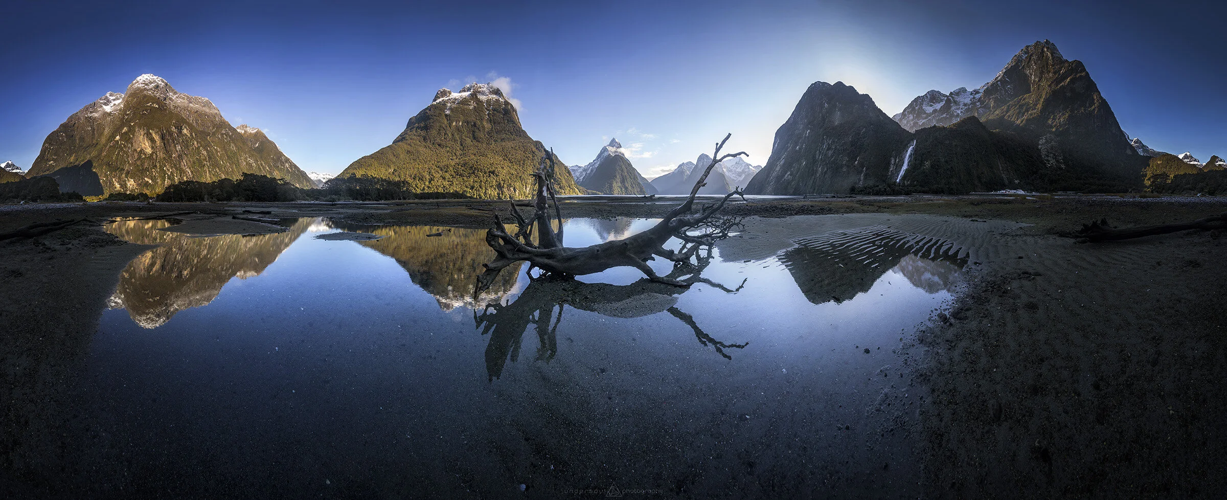 Milfords 360 Tree Update Web.jpg