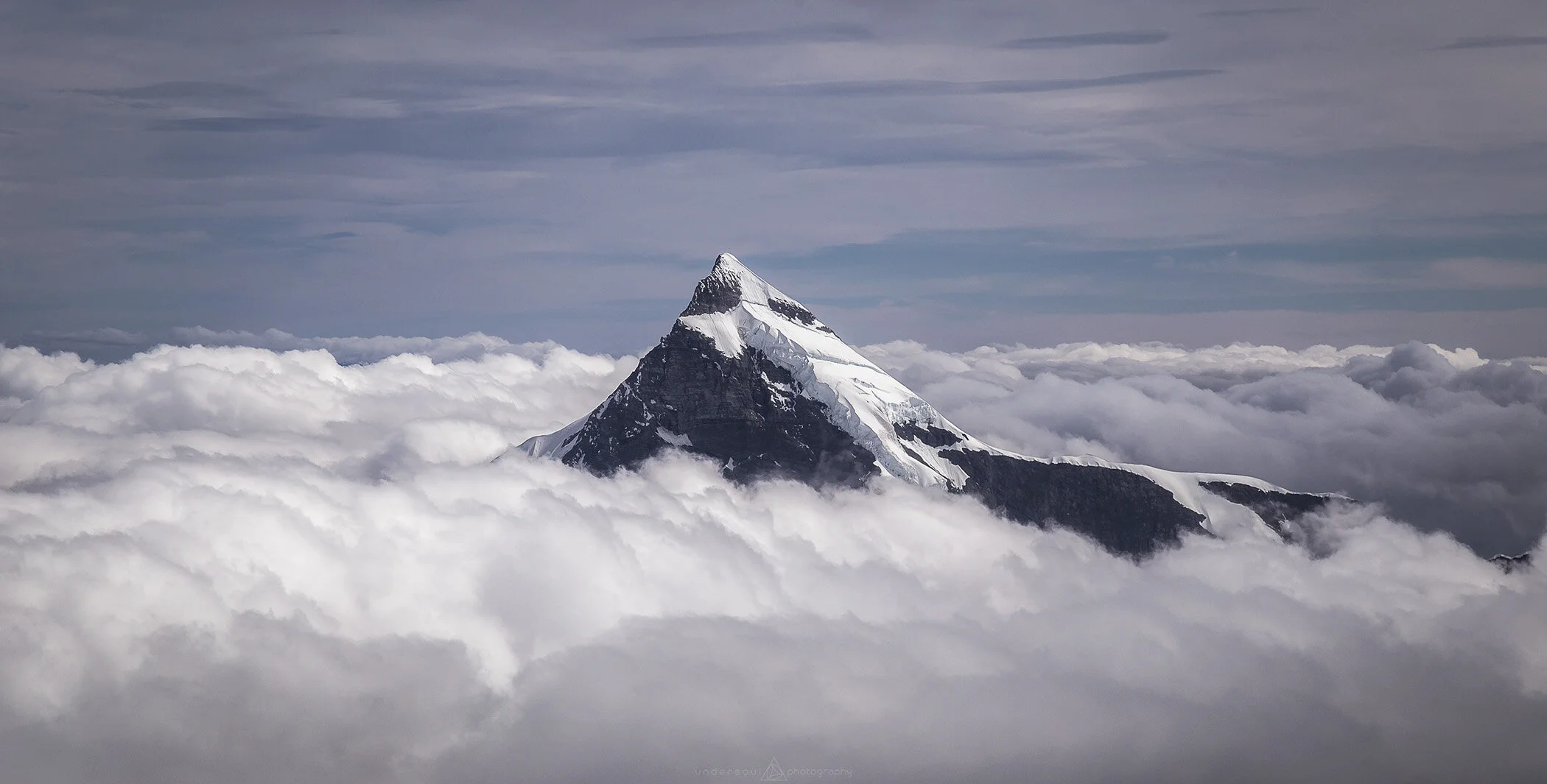 Looks Like A Lie Web.jpg