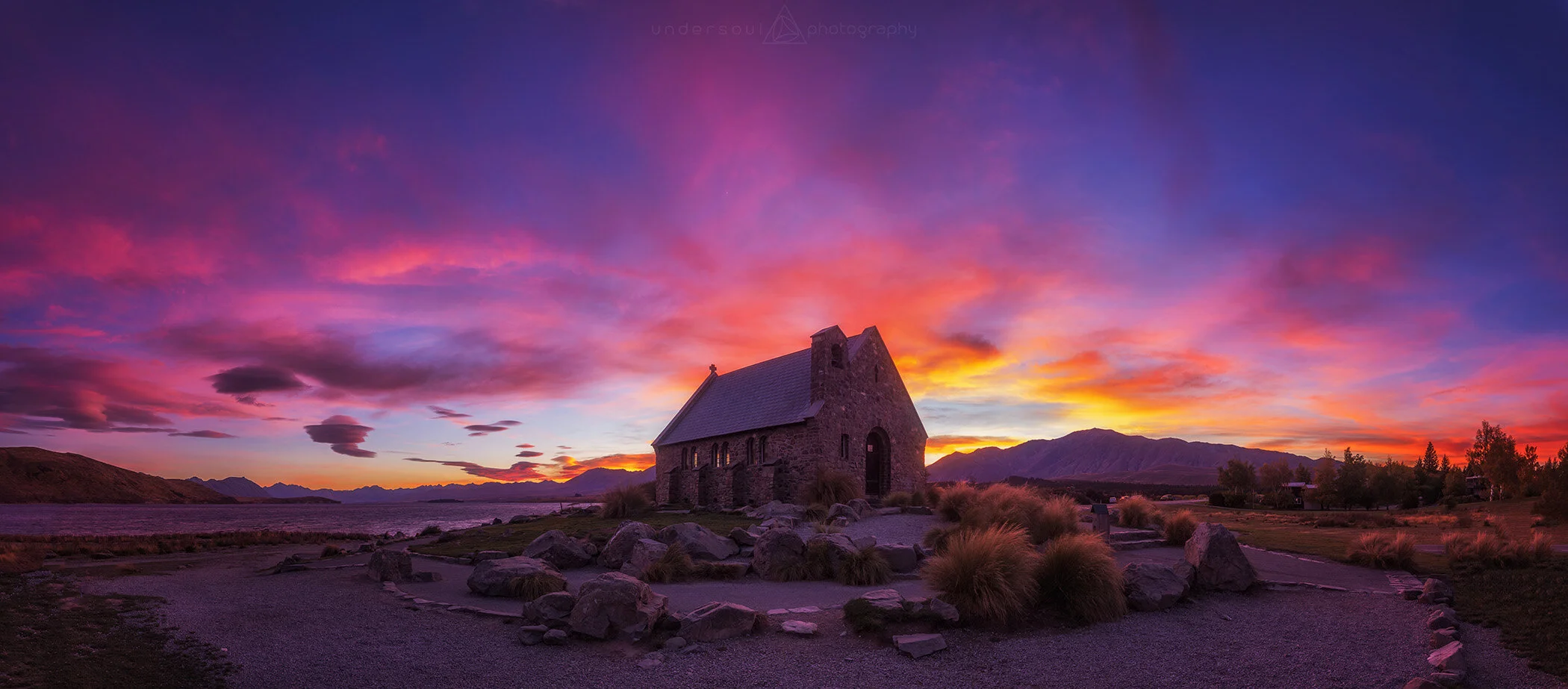 Happy Couple Web.jpg