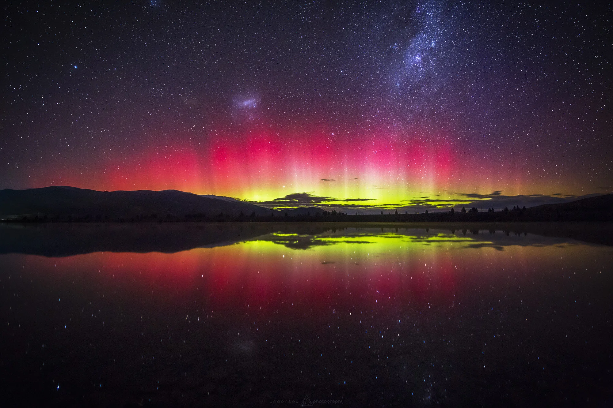 Self Obsorbed Disillusion Web.jpg