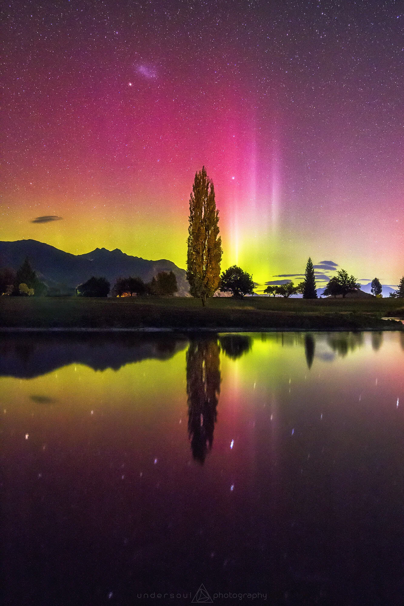 Little Focker Web.jpg