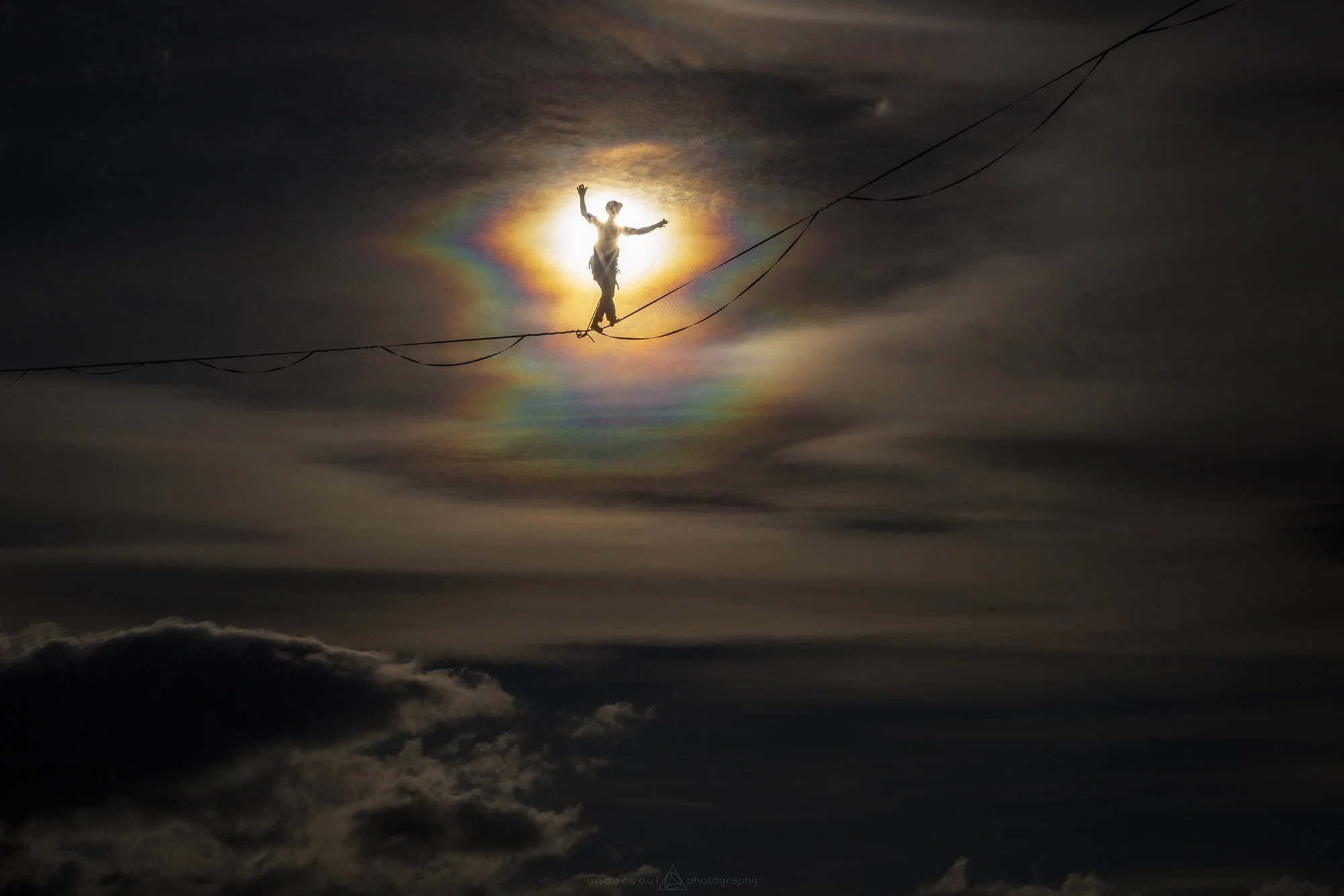 Even The Bird Web.jpg