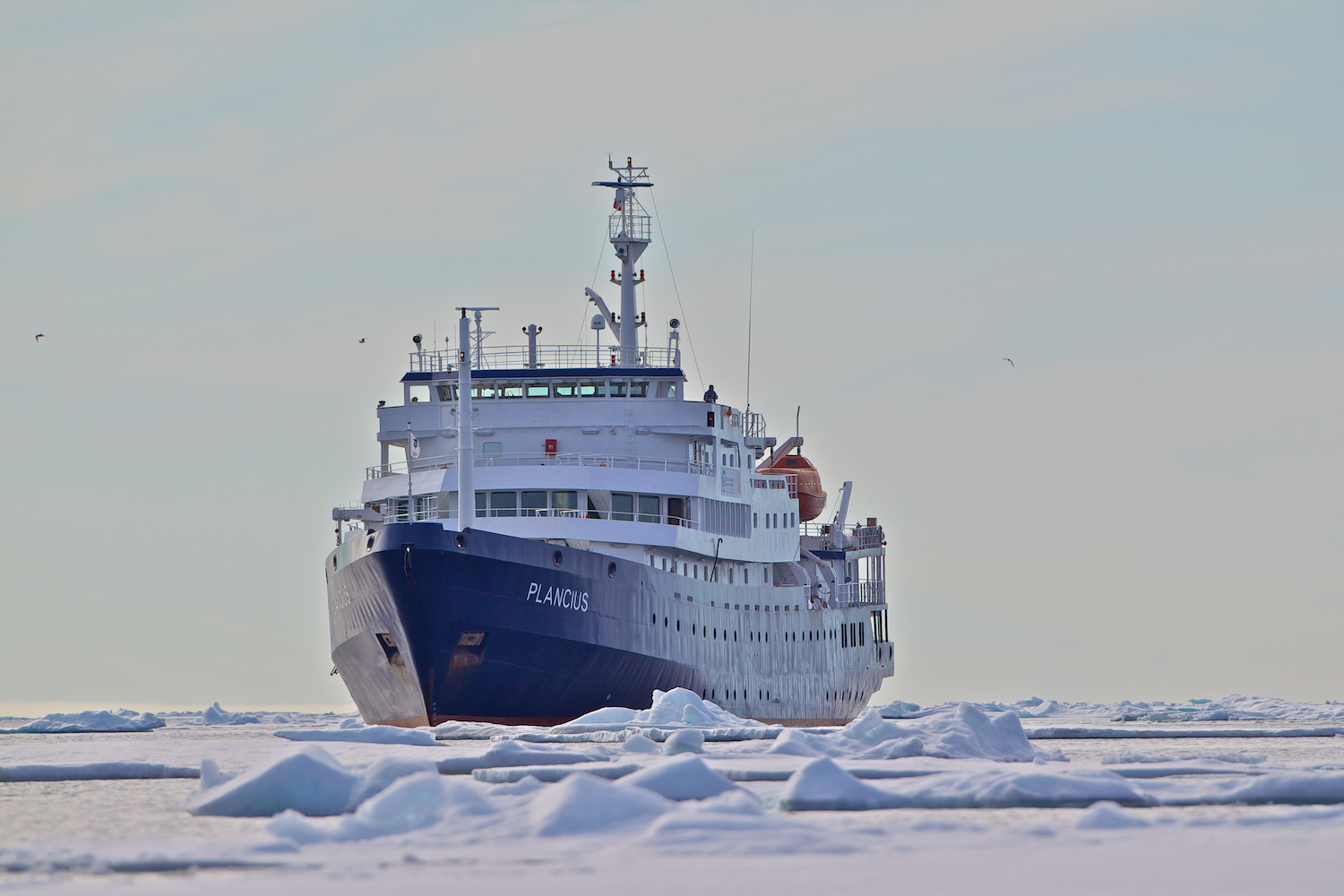 Plancius in pack ice, Spitsbergen_Gerard Regle.jpeg