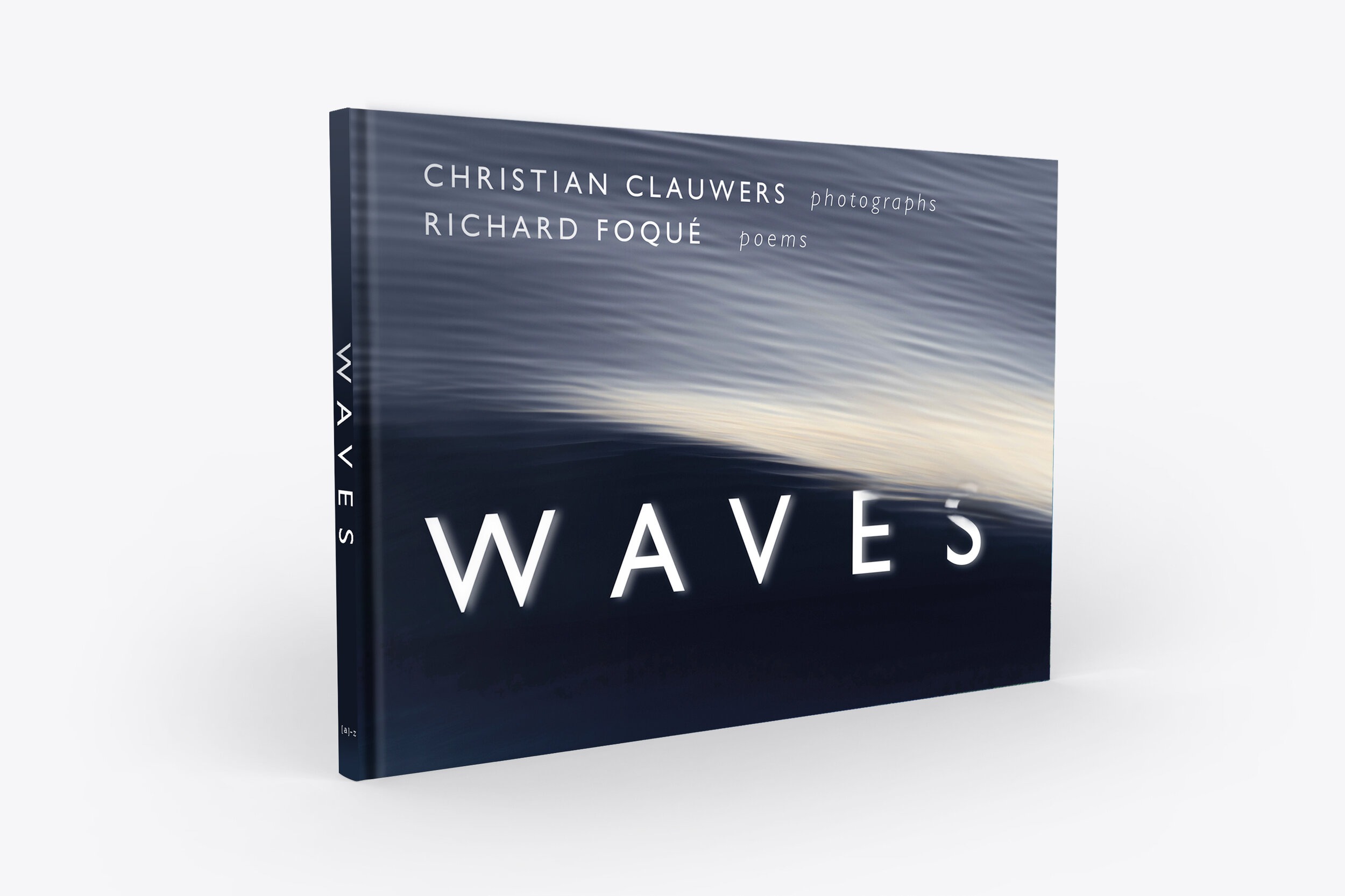 3D render WAVES Book-Cover-Mockup.jpg