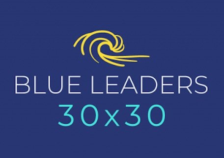 Blue Leader 3030.jpg