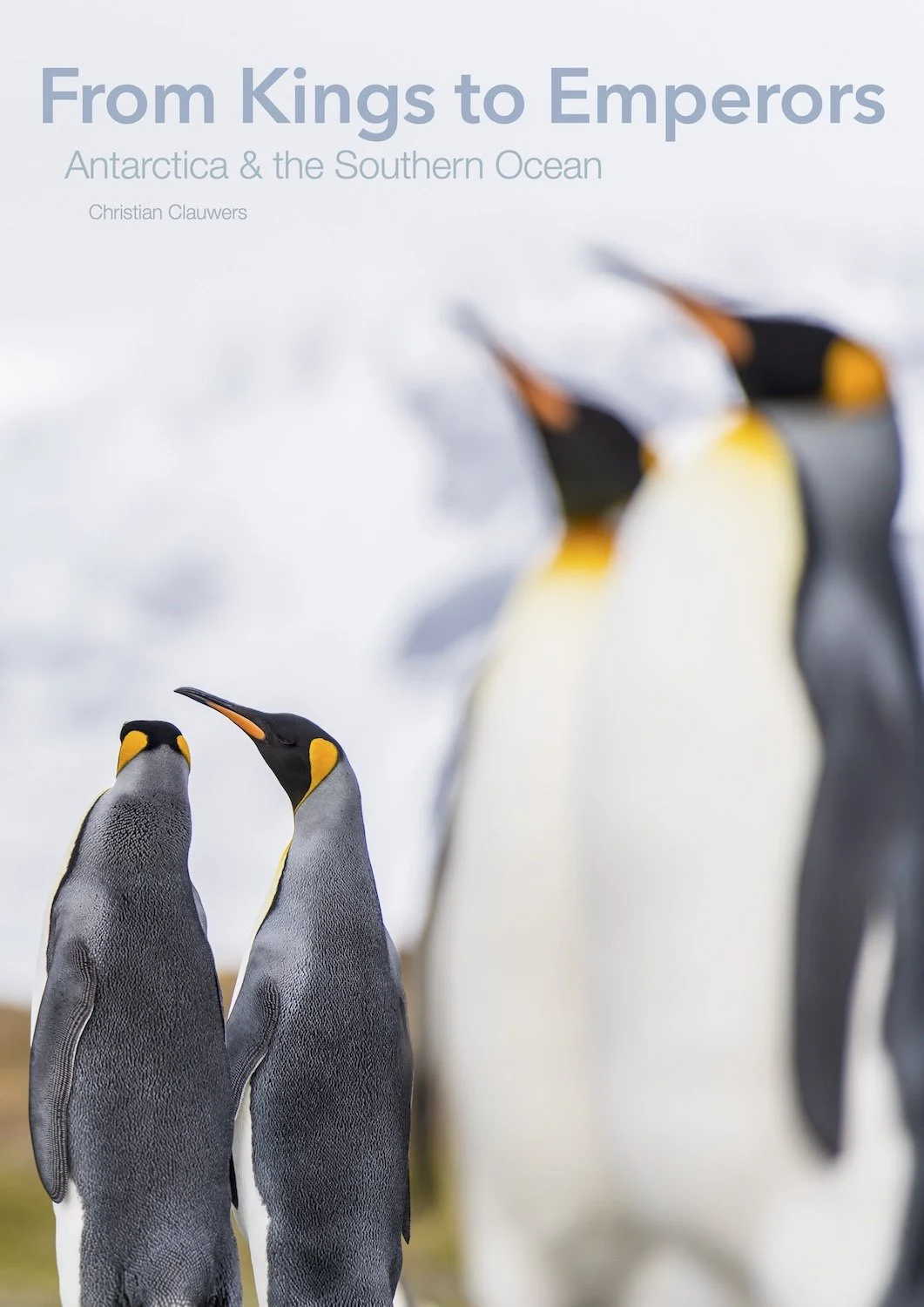 UITNODIGING BEE expo From Kings to Emperors_website.jpg