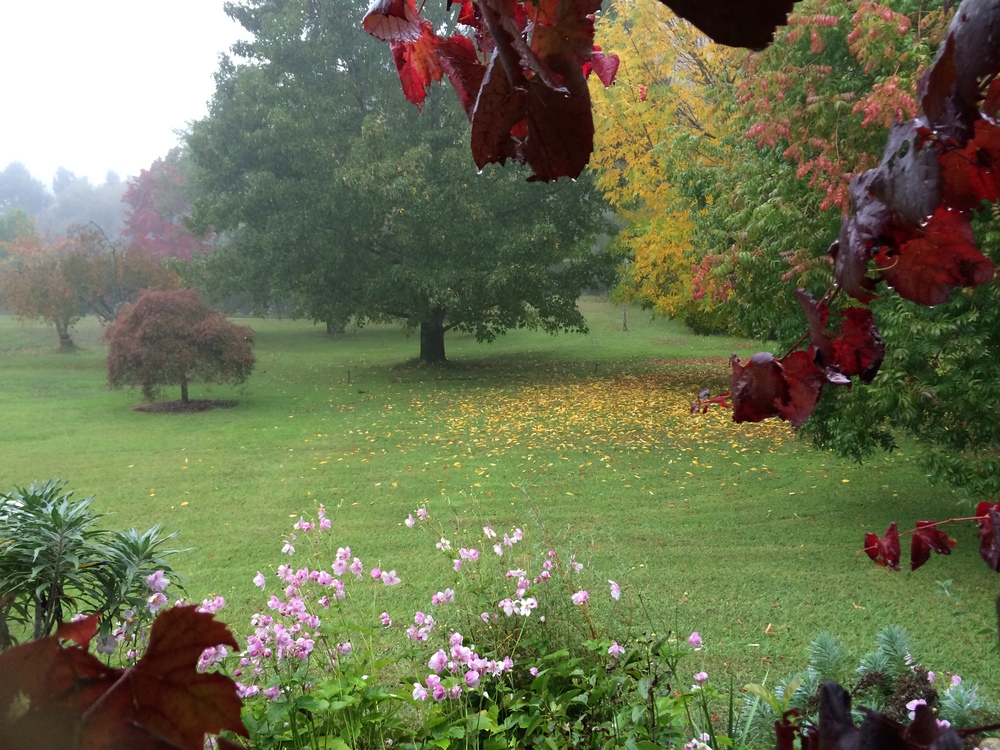 Paul Quirico Portfolio