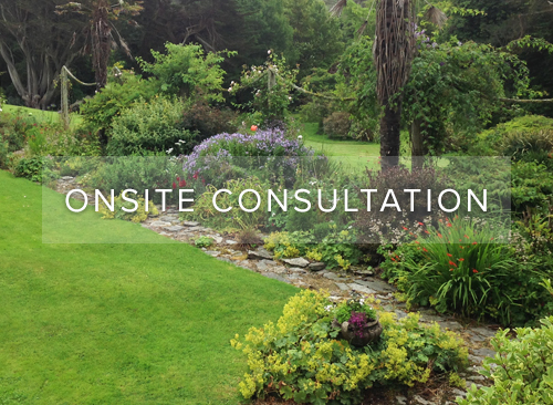 Onsite Consultation