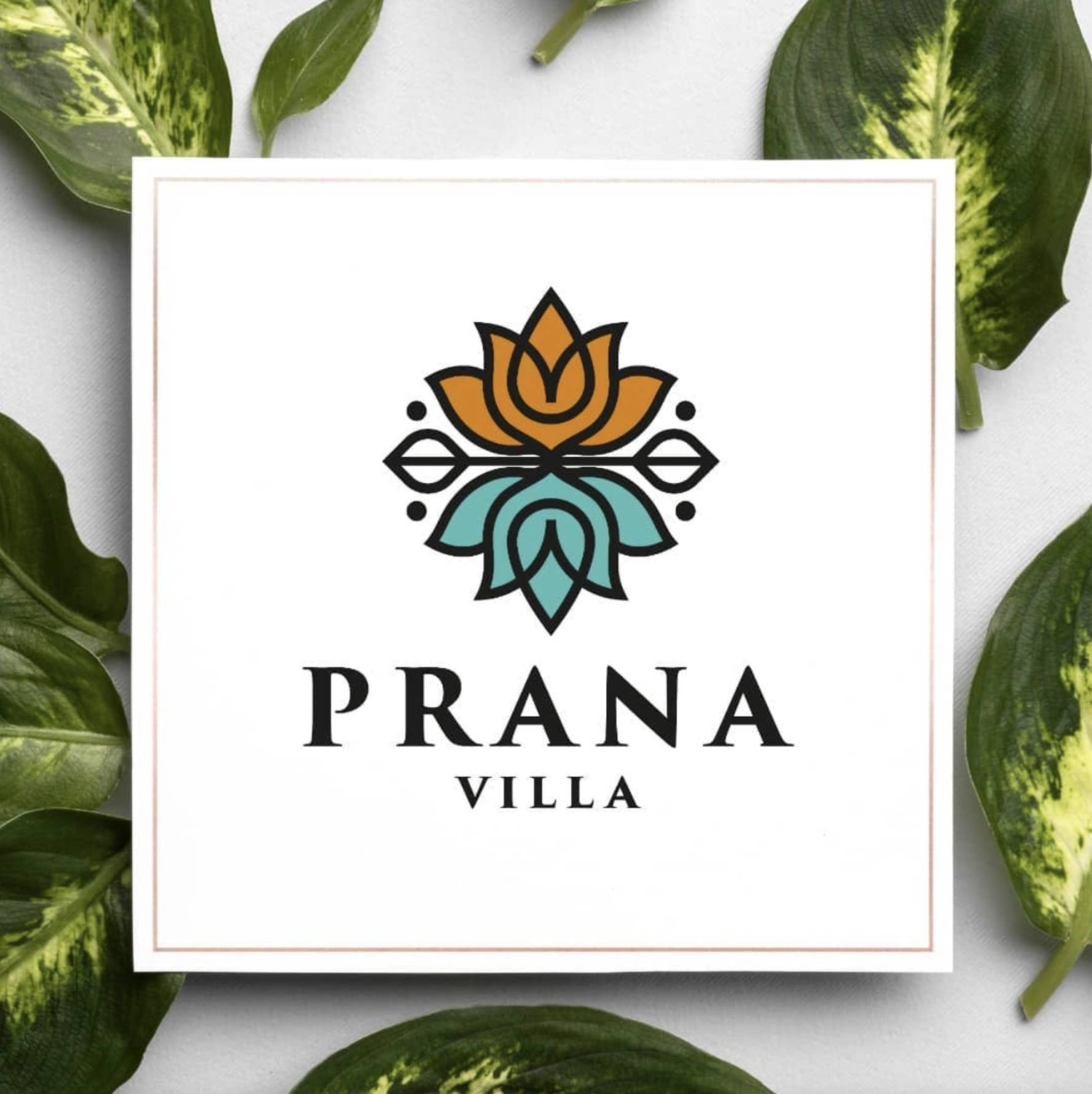 prana villa logo.png
