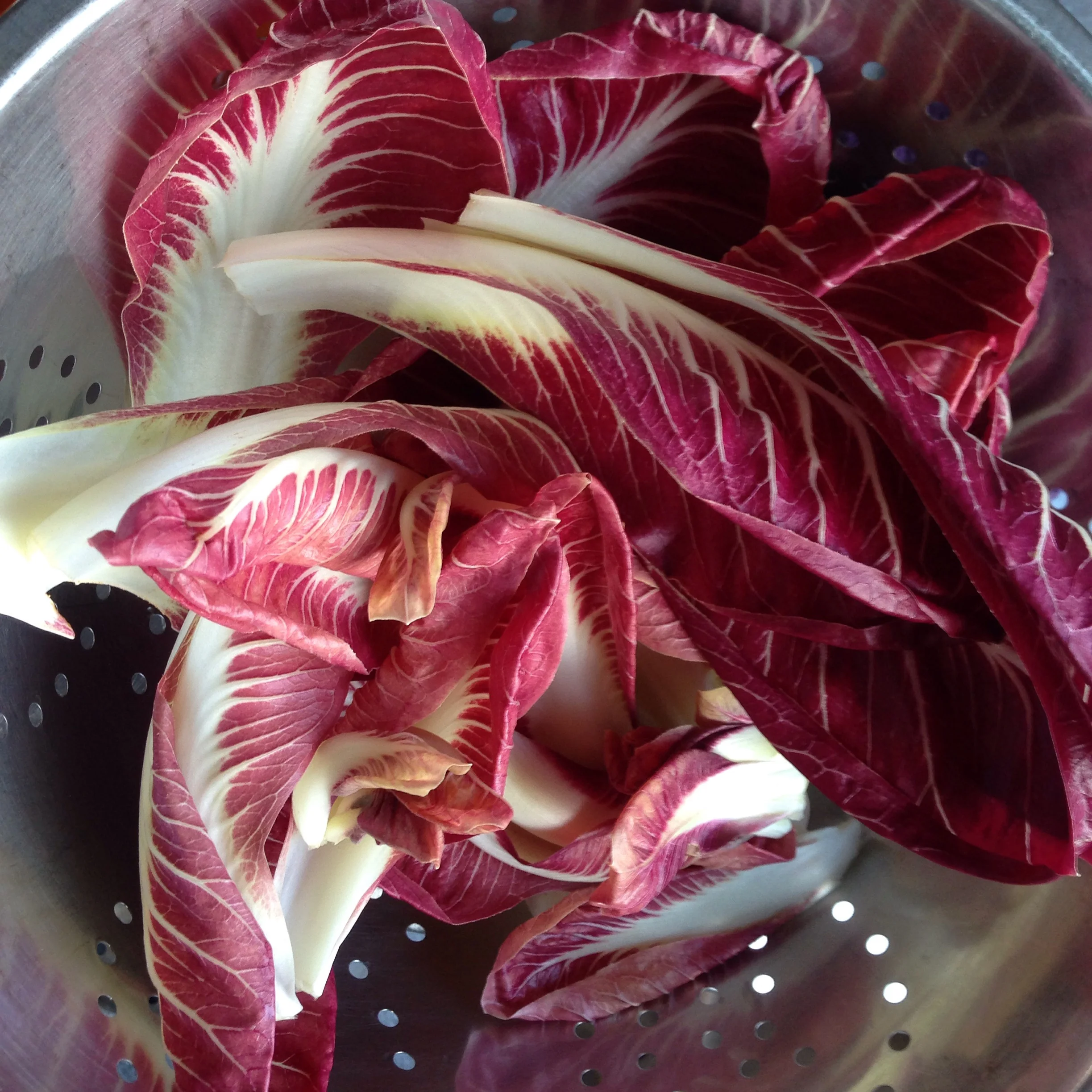 introducing our 2016 autumn winter menu