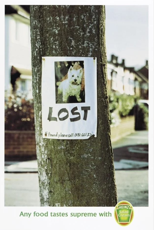 2. HSC - Lost Dog.jpg