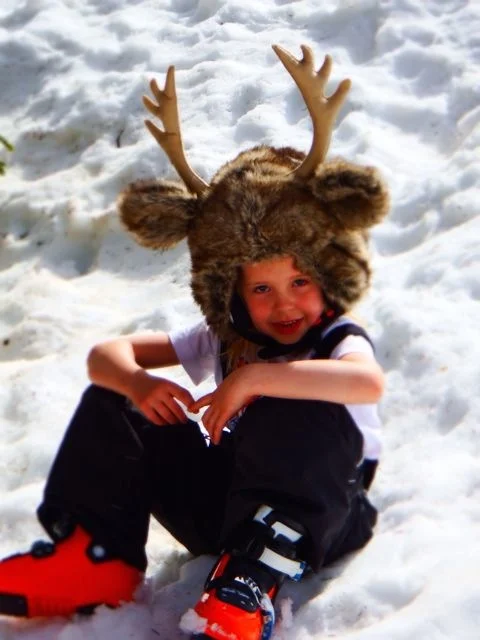 Reindear_reduced.jpg