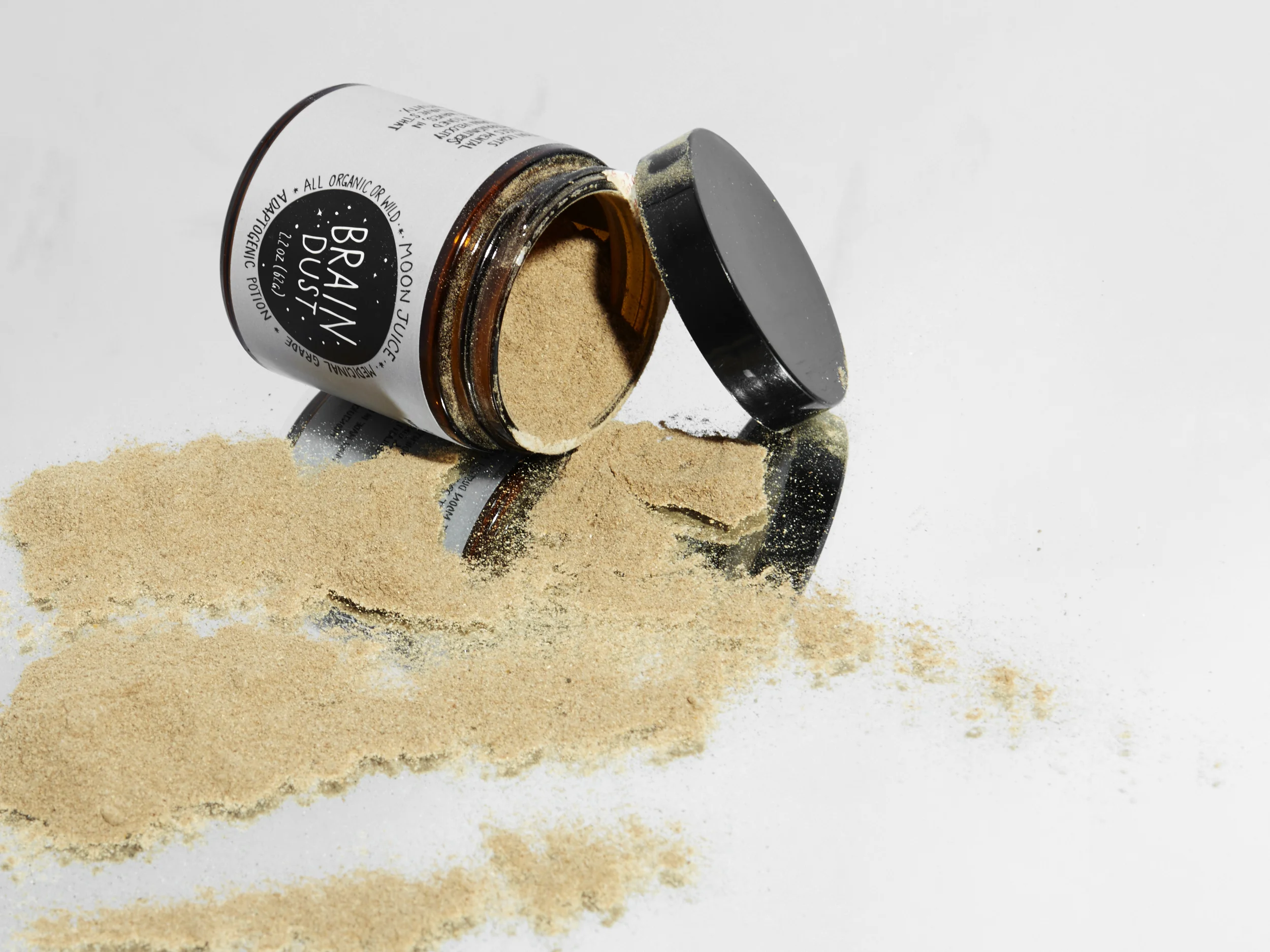 To the Moon and Back