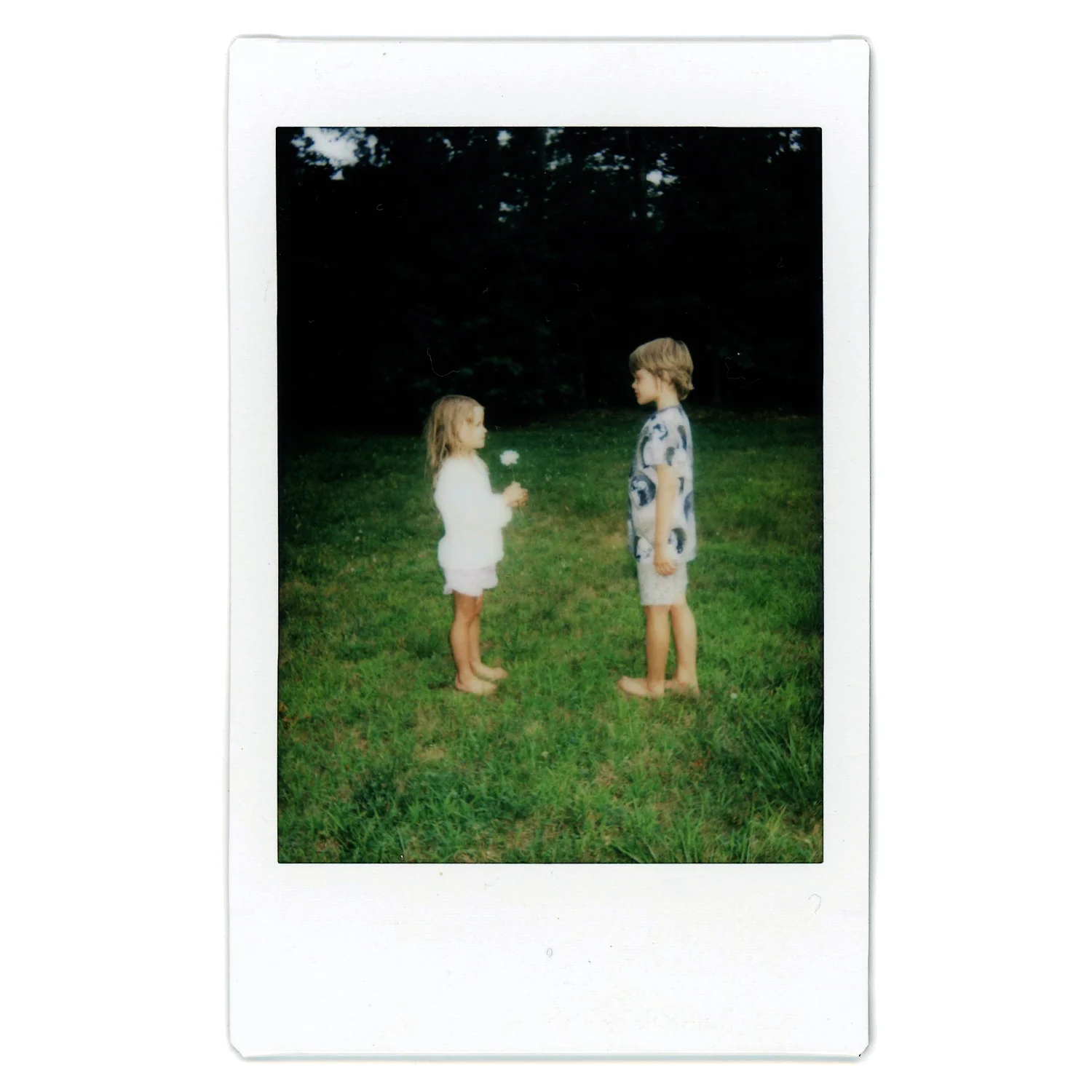 Polaroid_SPF_4.jpg