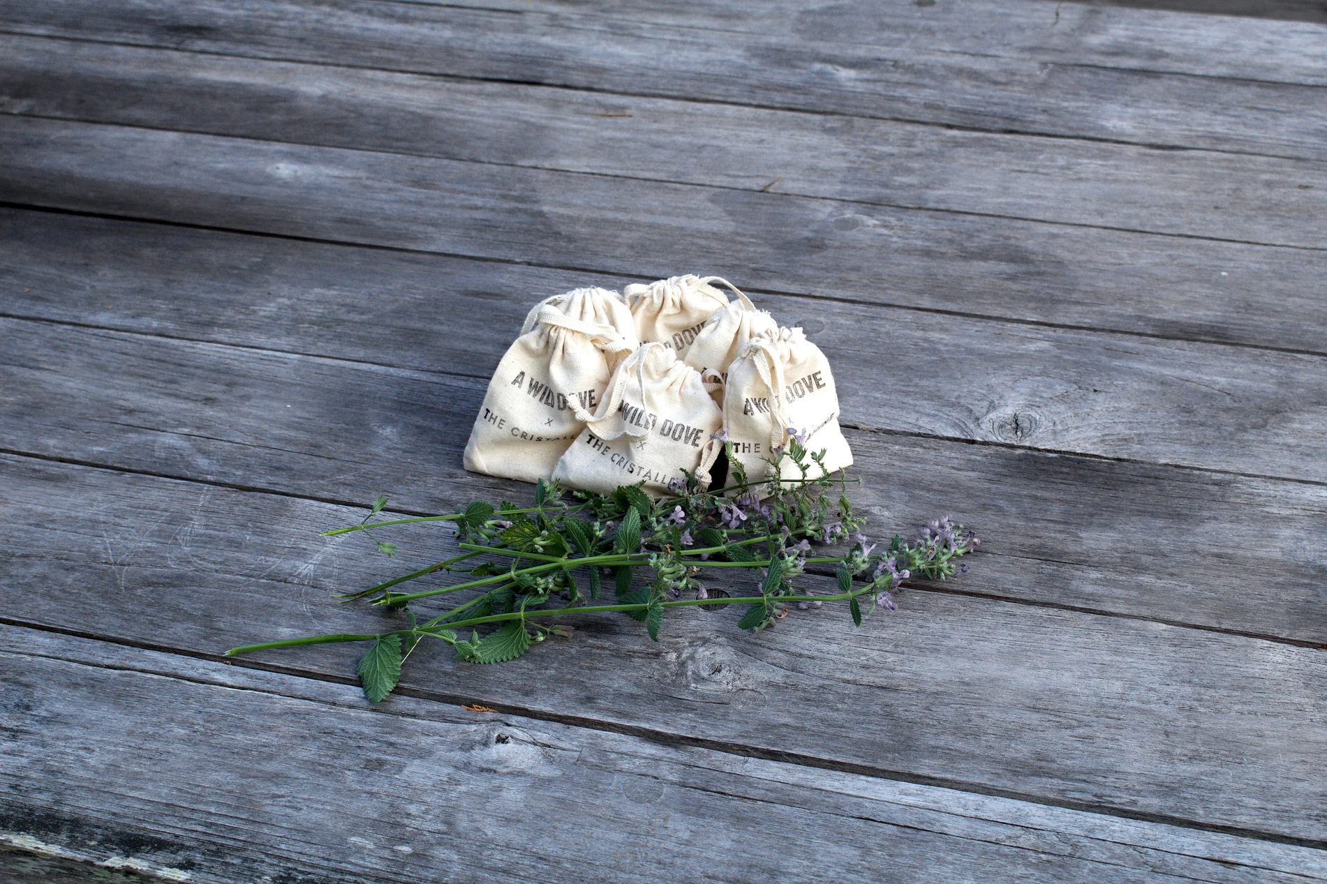 Kid Rock - Our Crystal Workshop with The Cristalline