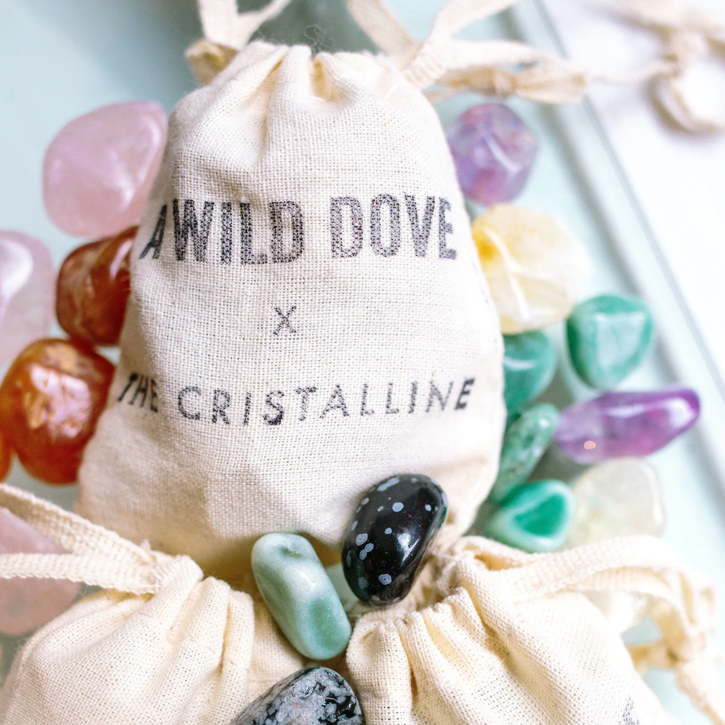 A Wild Dove x The Cristalline - Crystals for Kids