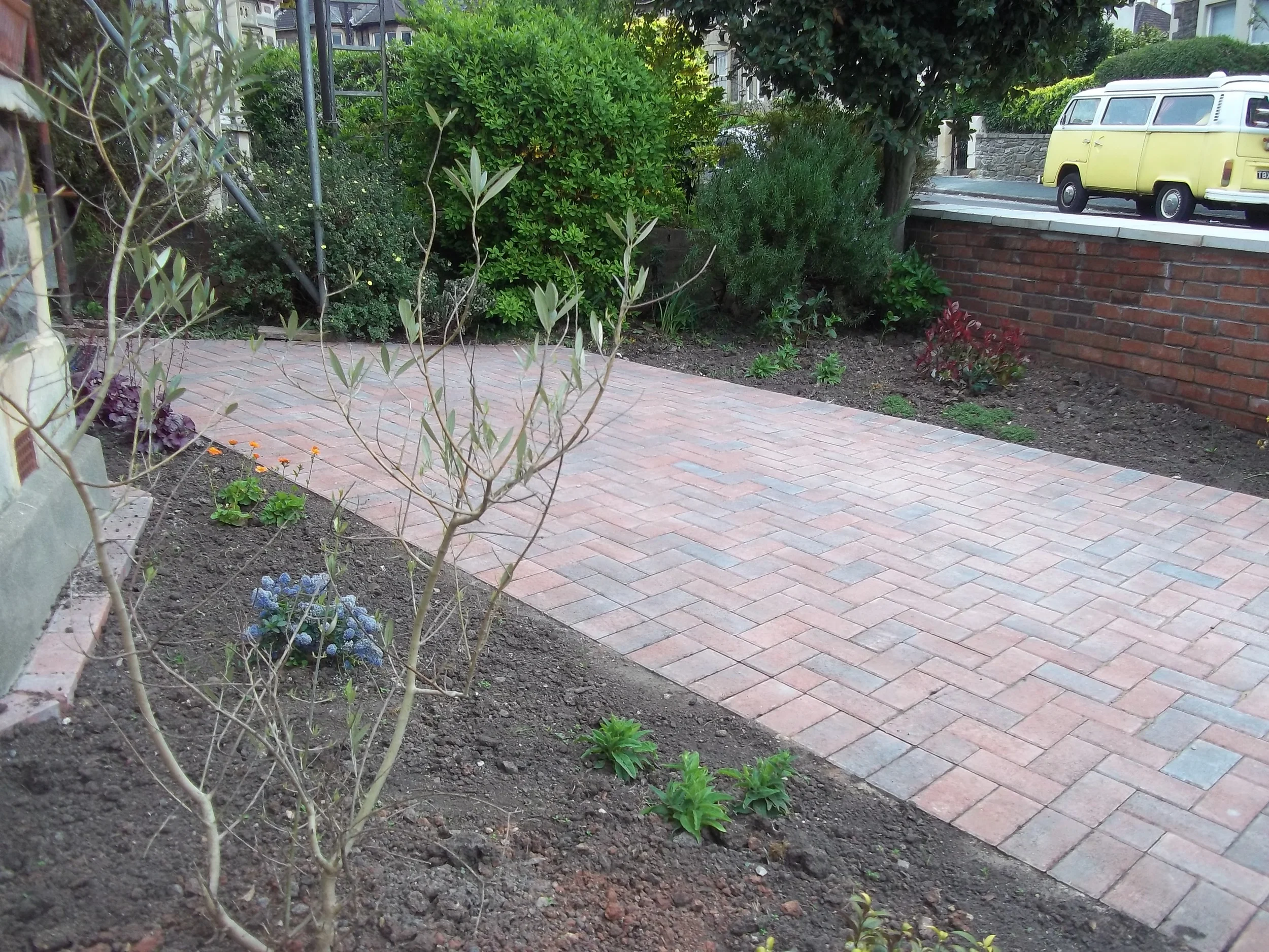 ade1111111111111111 011.JPG