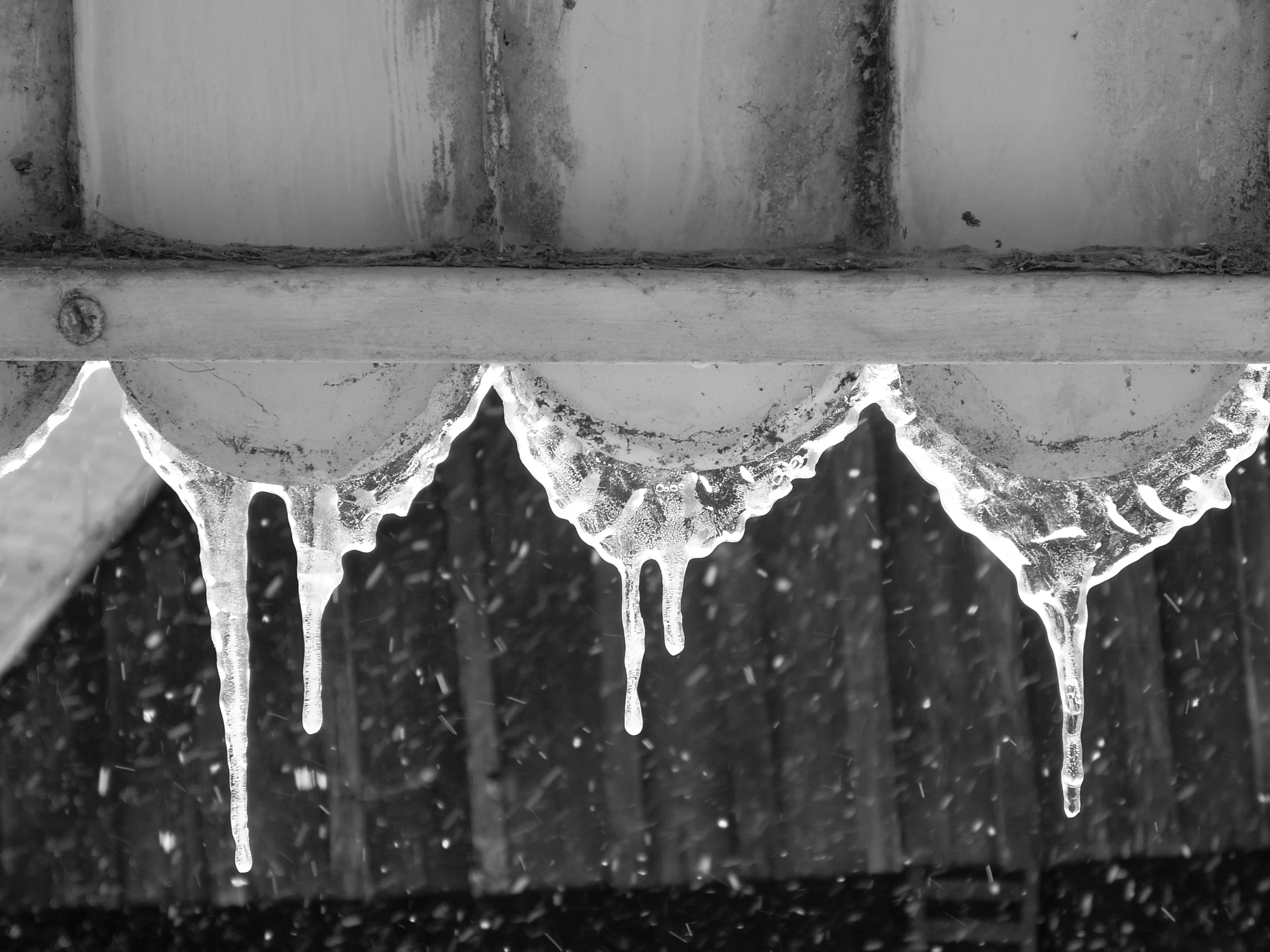 MKP0114-February Day