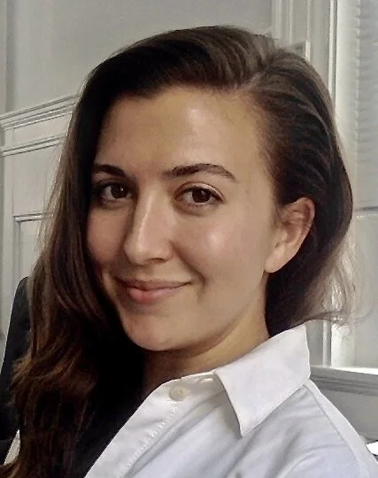 Protean War: Embracing Complexity in International Relations: Seminar by Dr Emily Whalen