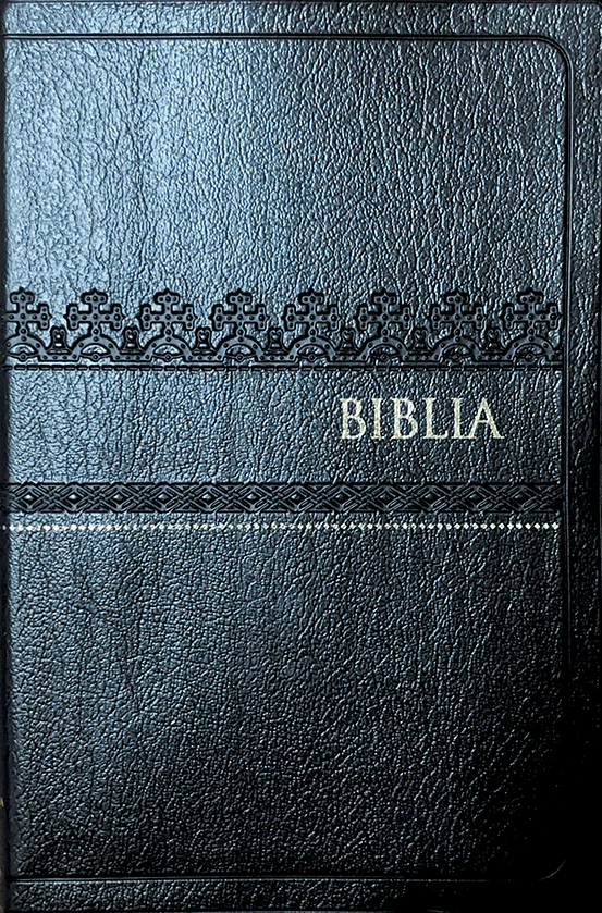 12013 Biblia 052 Ref Large Print TI.png