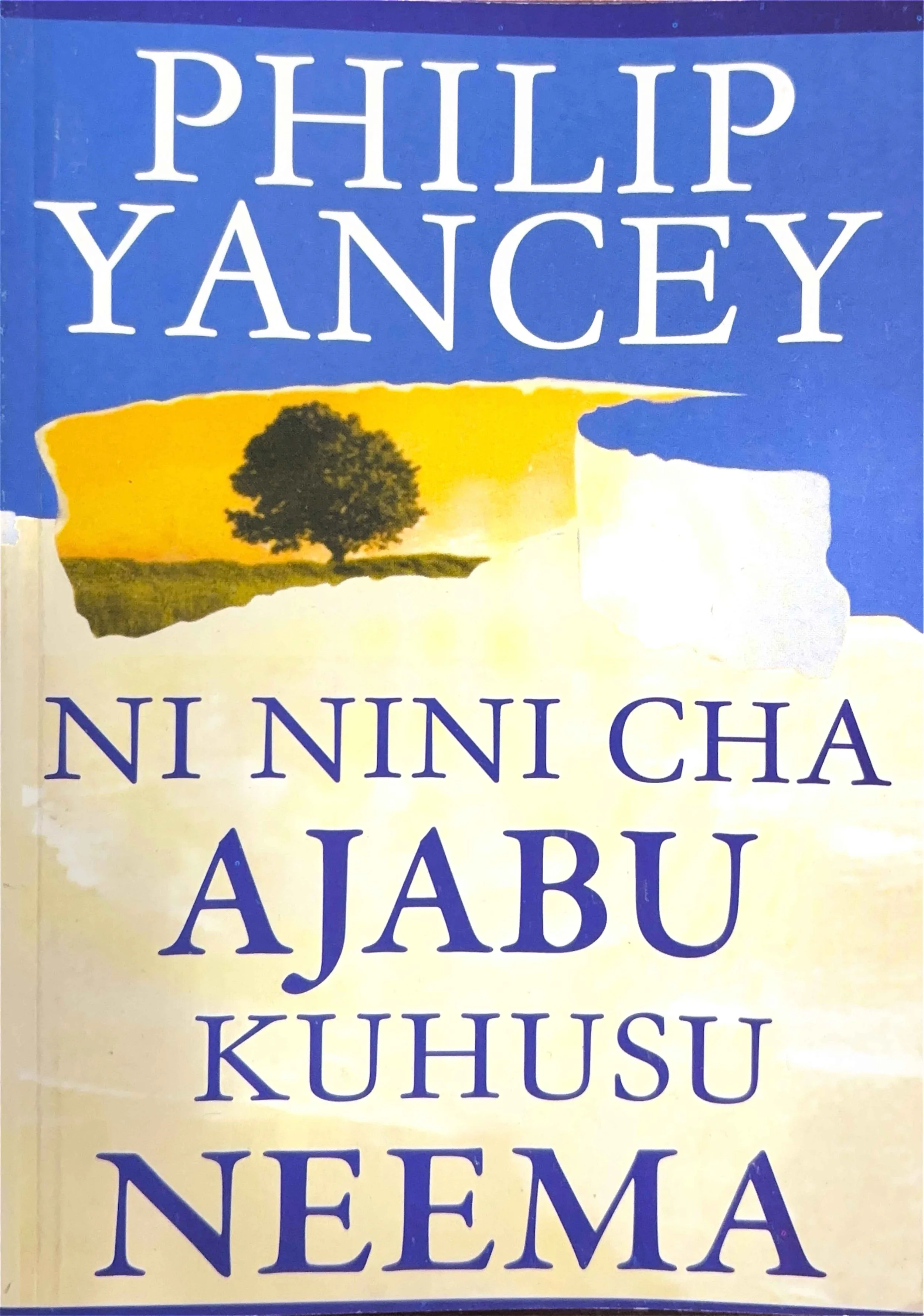 21007 Ni Nini Cha Ajabu Kuhusu Neema.jpg
