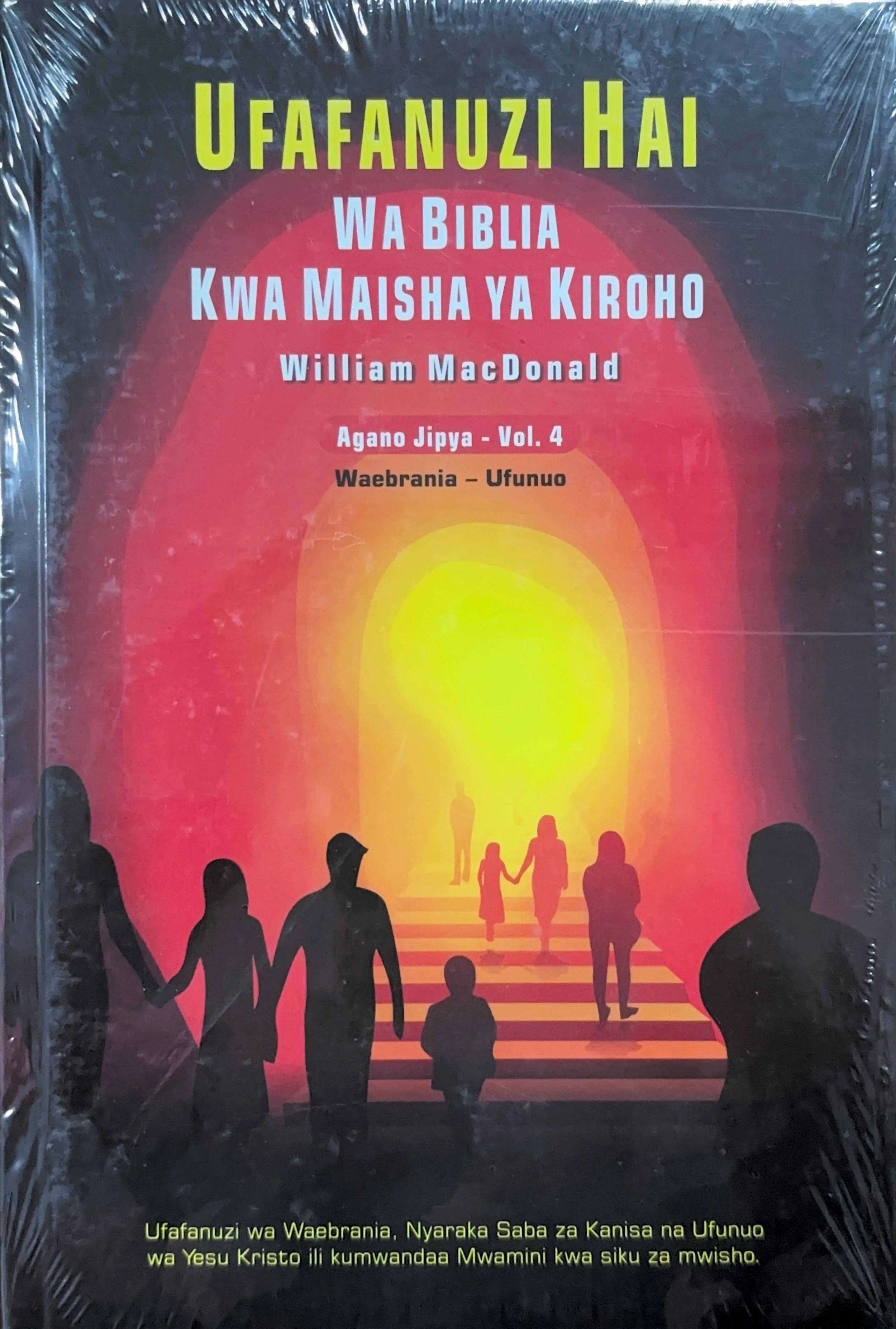 13028 Ufafanuzi Hai wa Biblia Vol.jpg