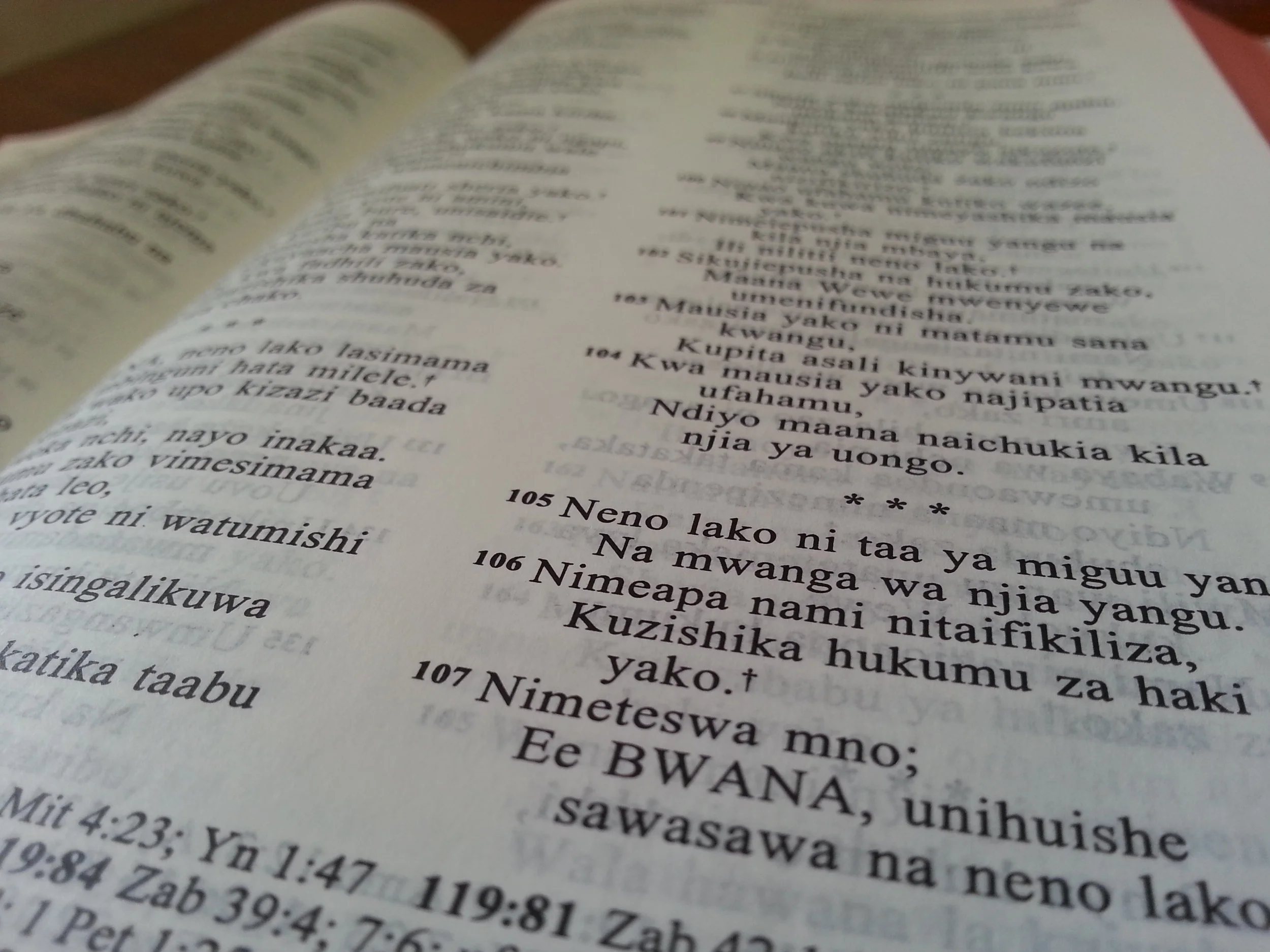 Four eggs and a Bible