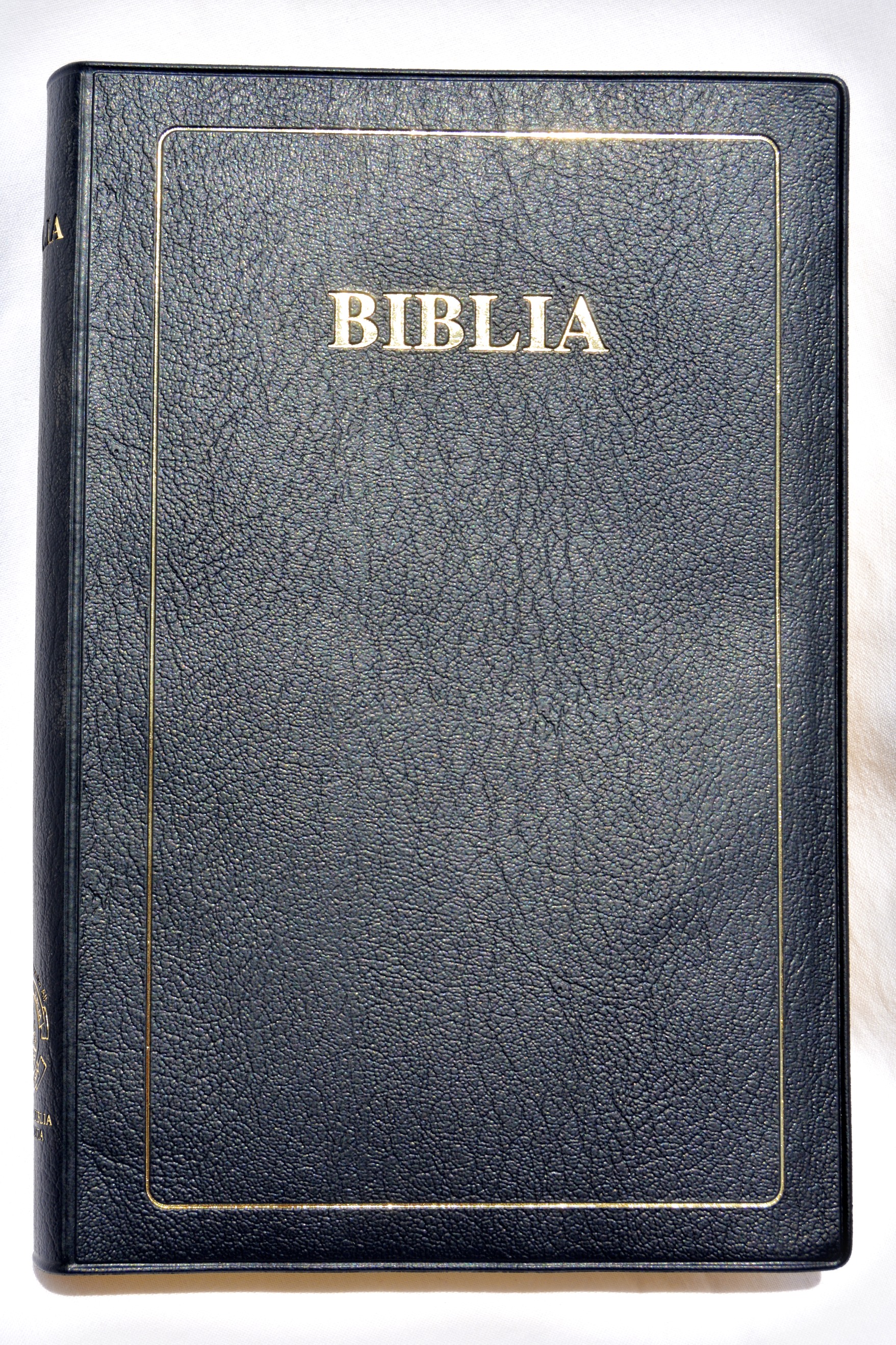 Biblia 052.jpg