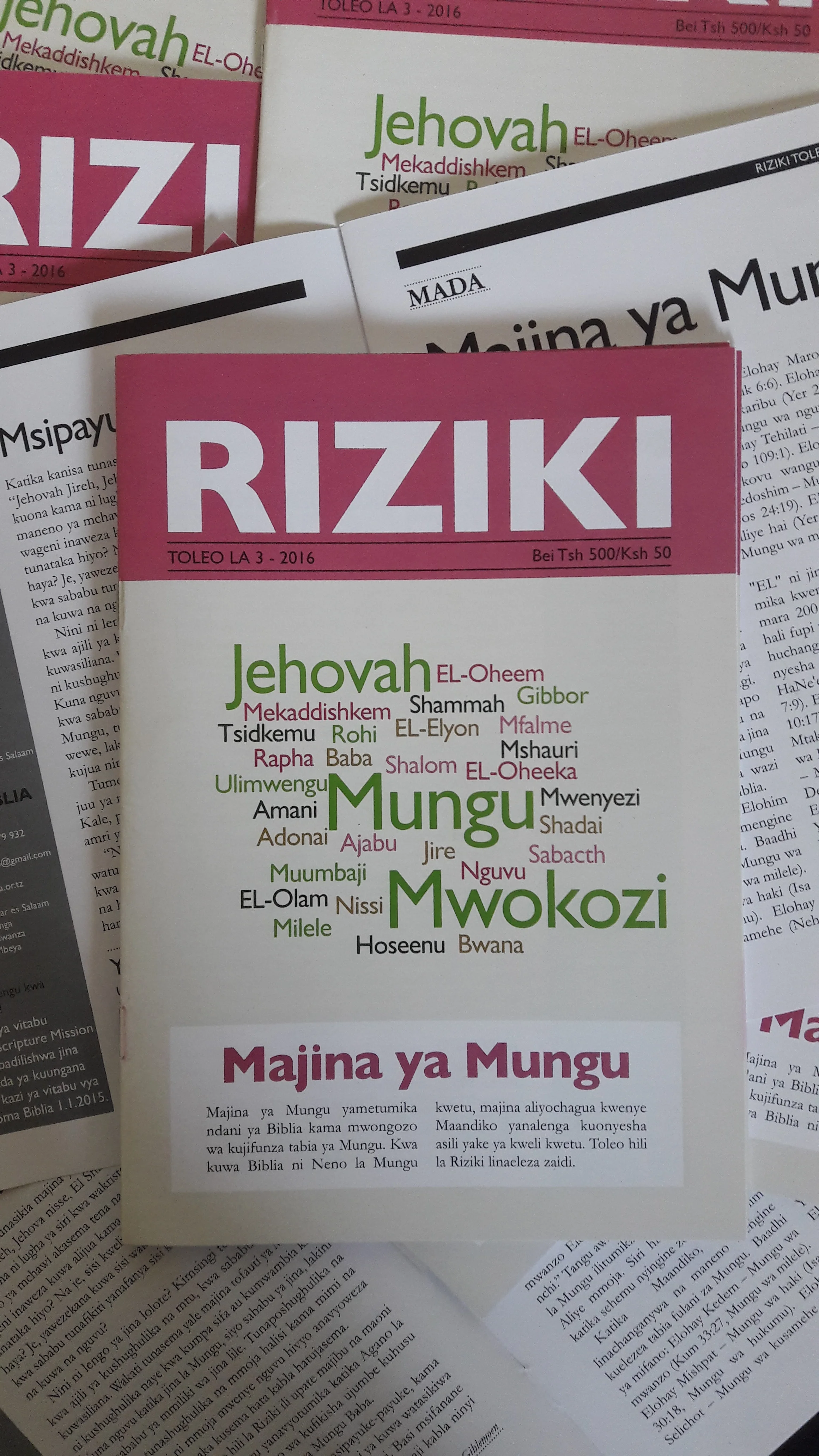 RIZIKI #3, 2016 Now avaiable online!