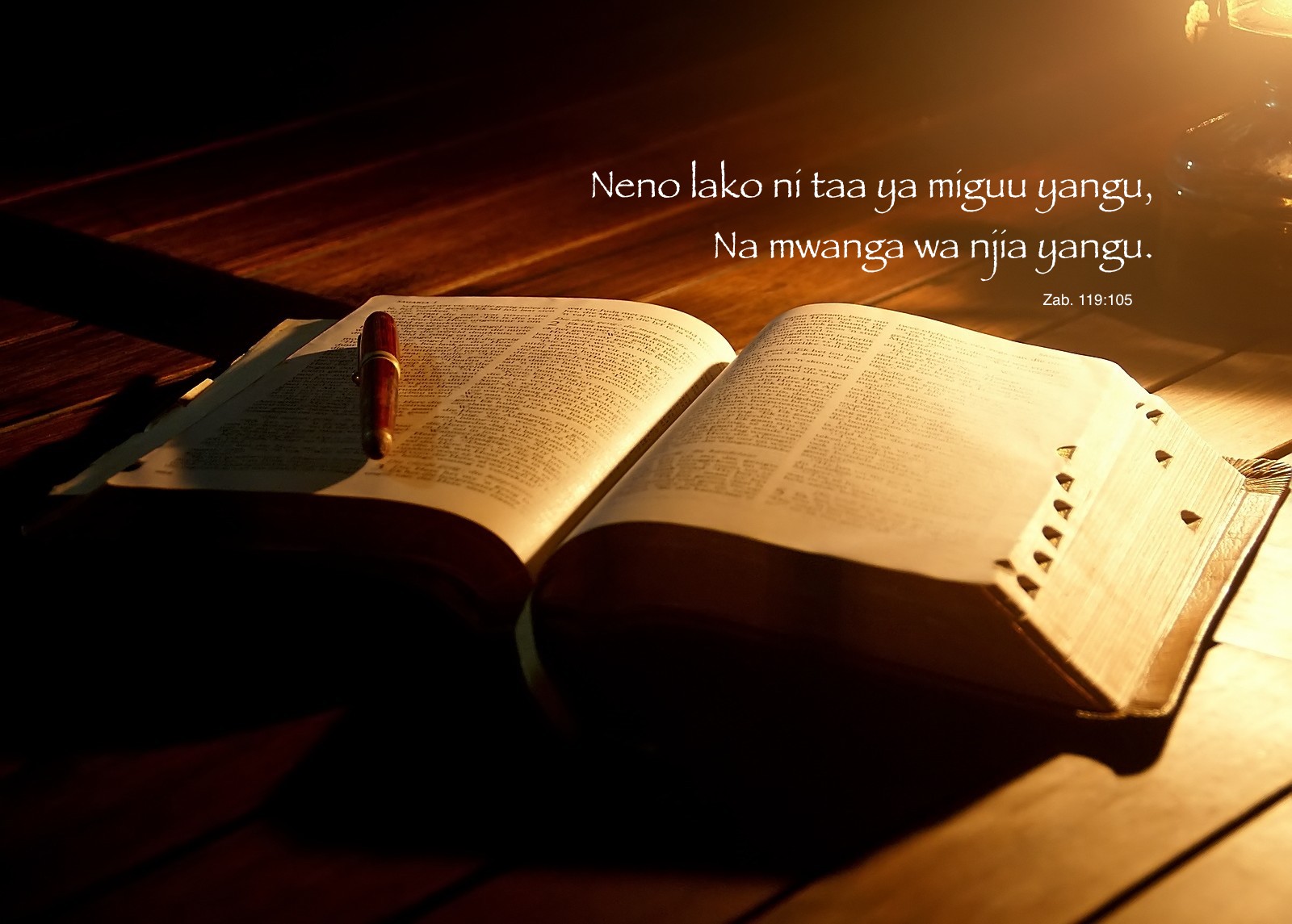 bible reading light text.jpeg