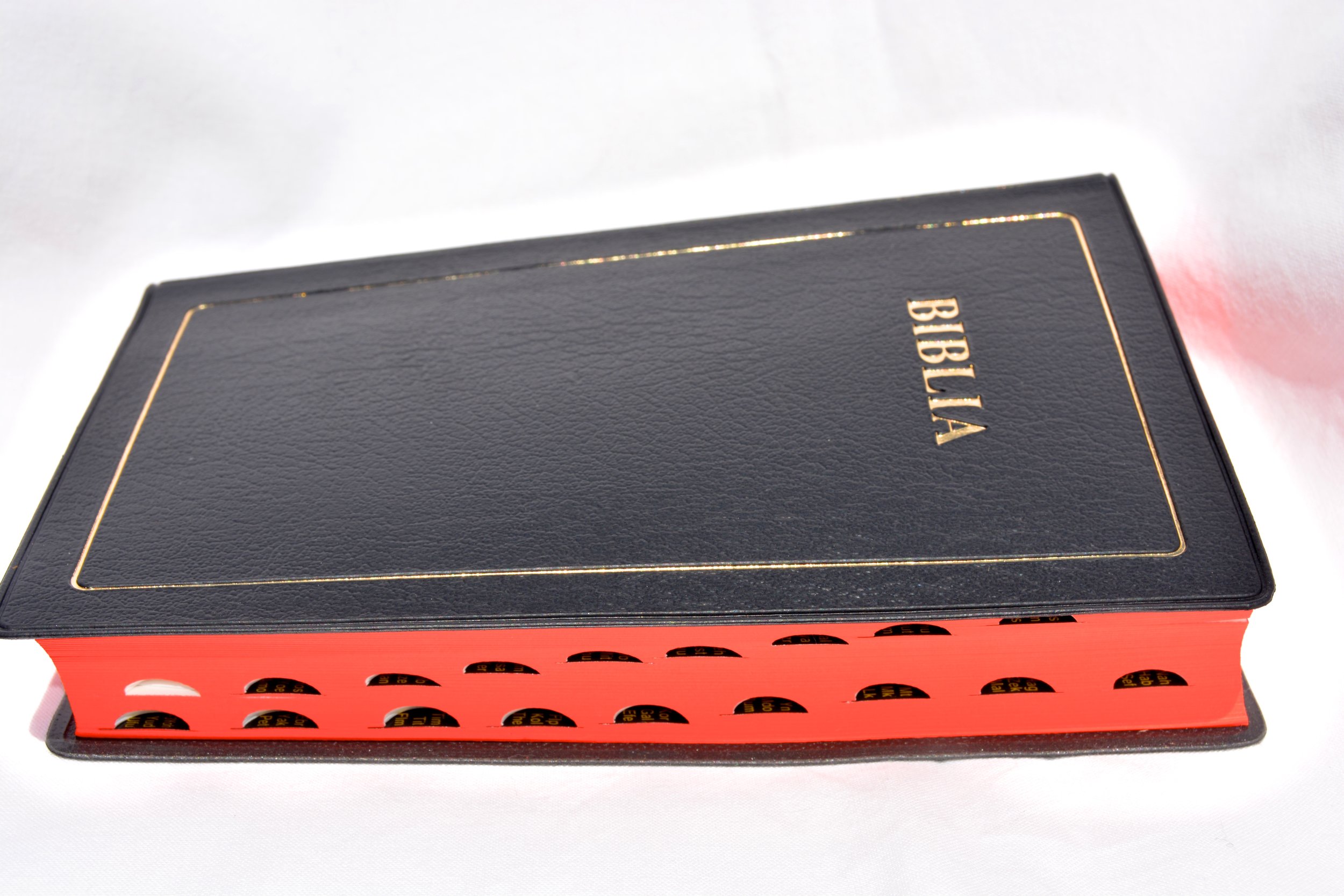 Biblia M red index.jpg