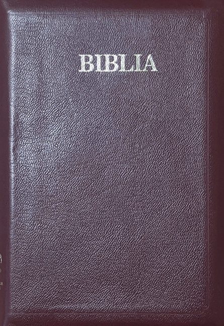 12019 Biblia 059 Z Gold Ref index.png