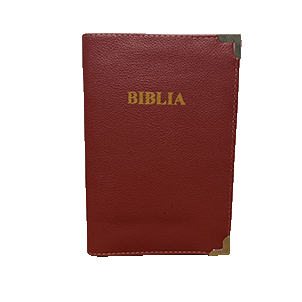 Cover - Biblia 052 Engo.png