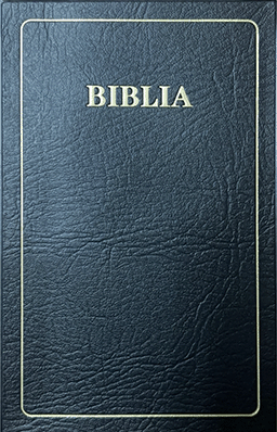 12054 Biblia 052 PL Gold TI.png