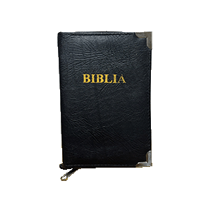 Cover - Biblia 022 Engo.png
