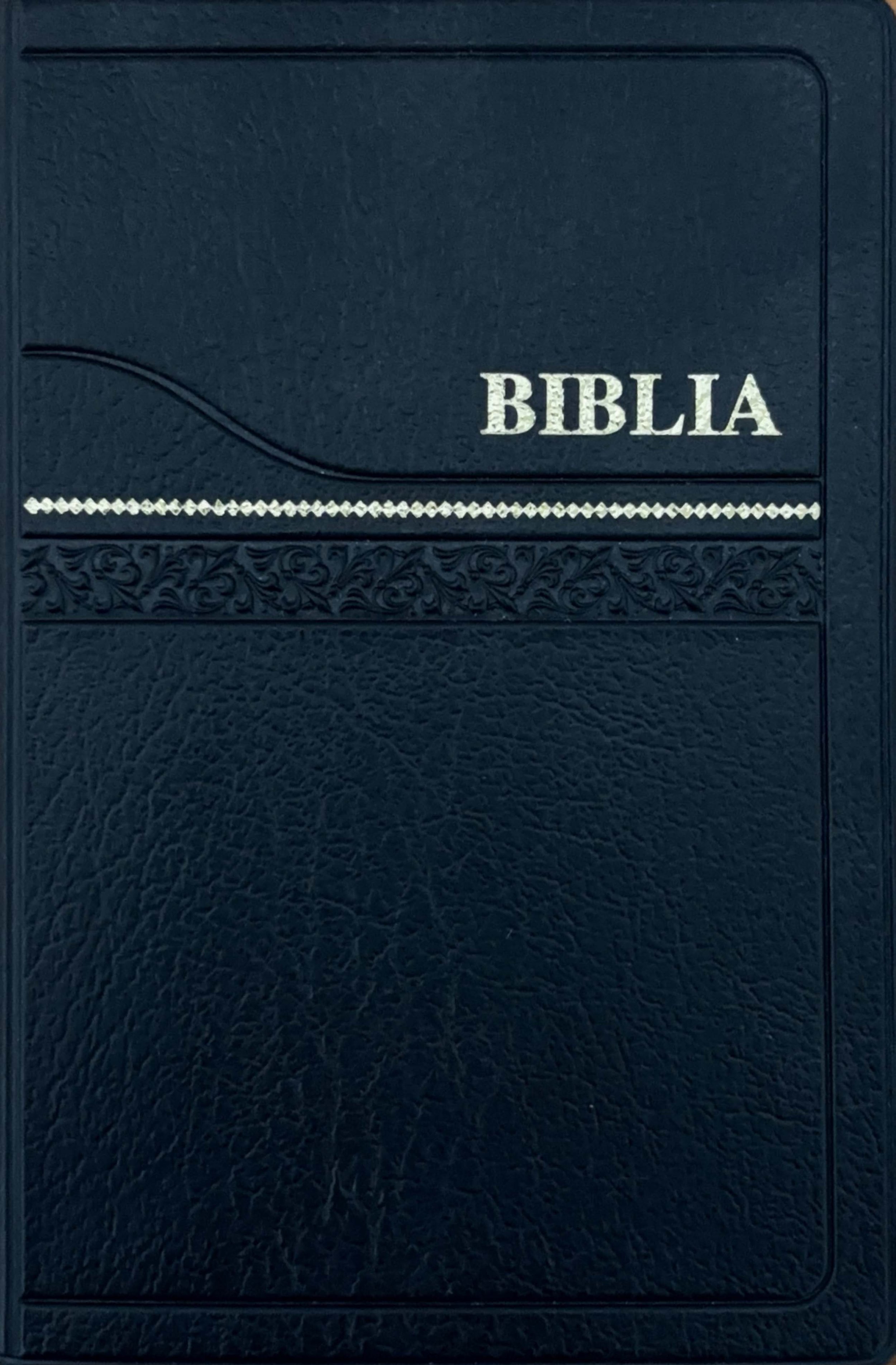 12203 Biblia 022 PL TI Gold.jpg